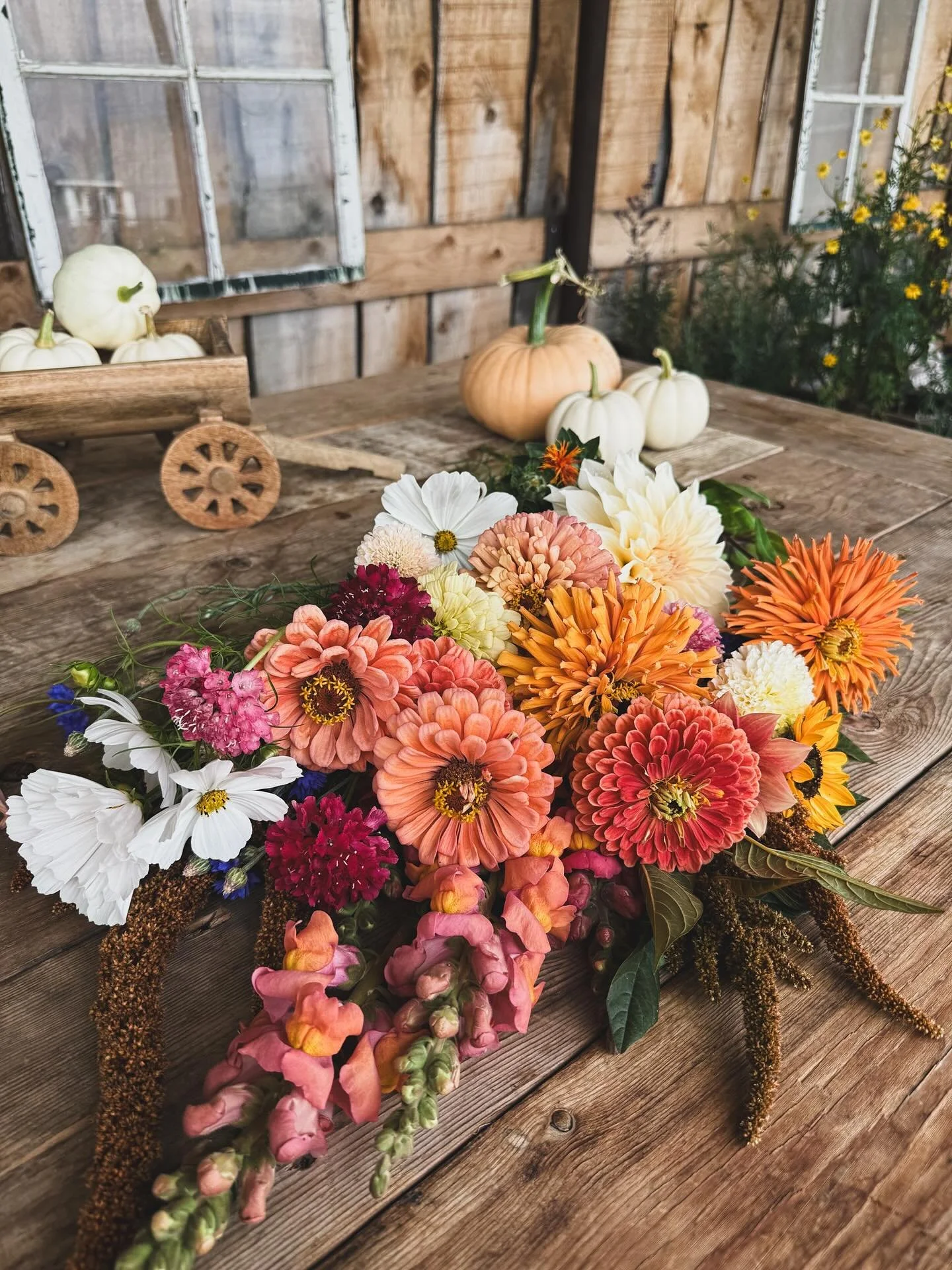 A little bit of sunshine, a little bit of rain and glorious flowers that keep coming&hellip; I never dreamed we still be surrounded by such colour and beauty on the last day of September, and yet here I am soaking up the radiant sun, cutting flowers 