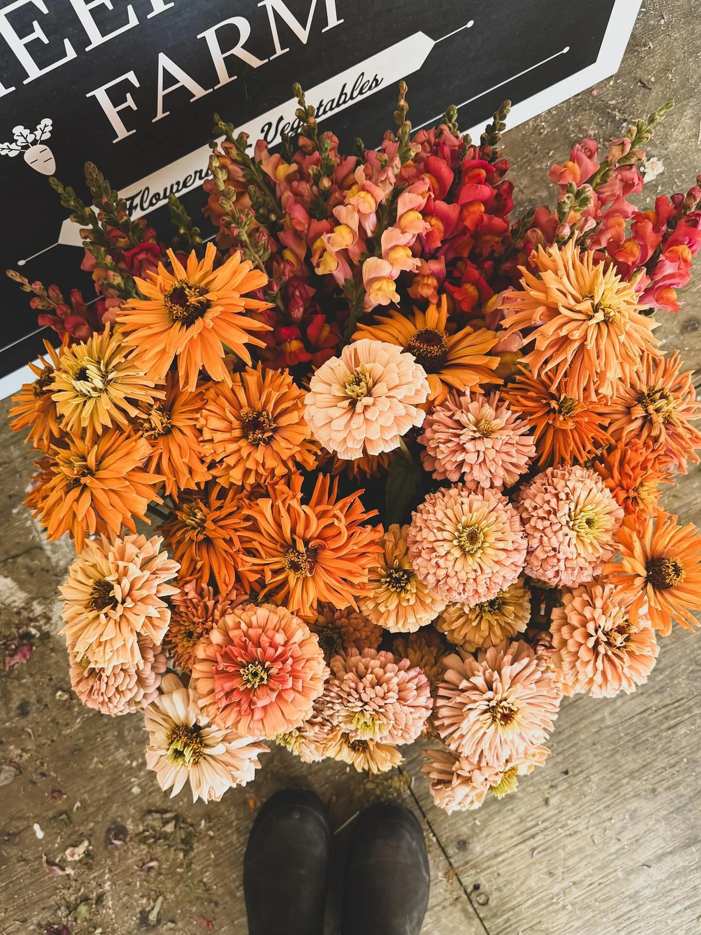 Before the snow crept in so suddenly, we gathered countless flowers and how I loved those vibrant amber and coral beauties on the first photo. We filled the little garden shed, bucket after bucket with precious blooms, enough to keep a feeling of lif