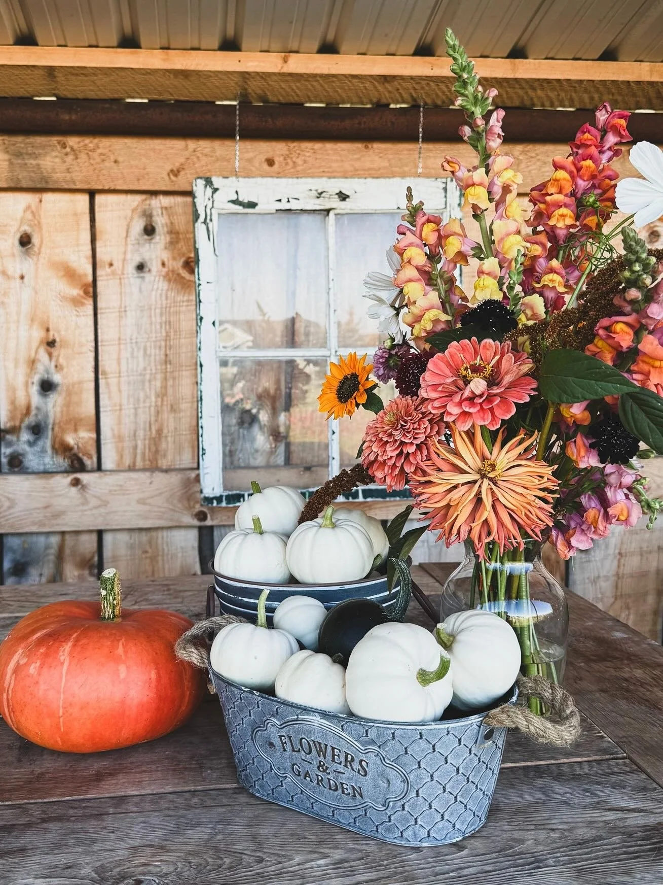 &ldquo;To speak gratitude is courteous and pleasant, to enact gratitude is generous and noble, but to live gratitude is to touch heaven.&rdquo; &mdash; Johannes A. Gaertner 

Witnessing the abundance we are gifted every day, and being grateful for it