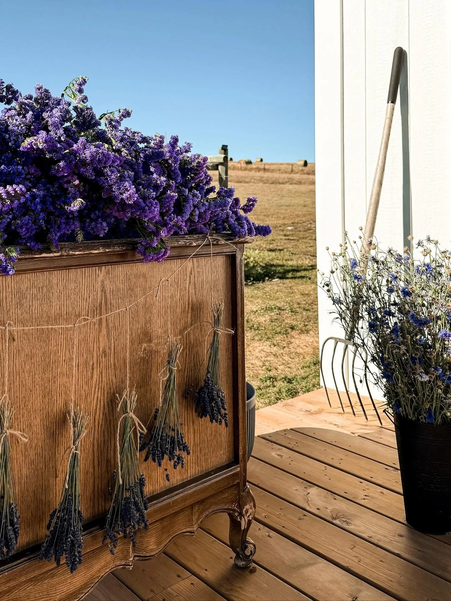 I&rsquo;ve always loved blue flowers; they remind me of my grandmother. She cherished lavender and I plant it every year without great success. 

When spring comes, I&rsquo;m always eager to grow it again, and I think it has everything to do with hop