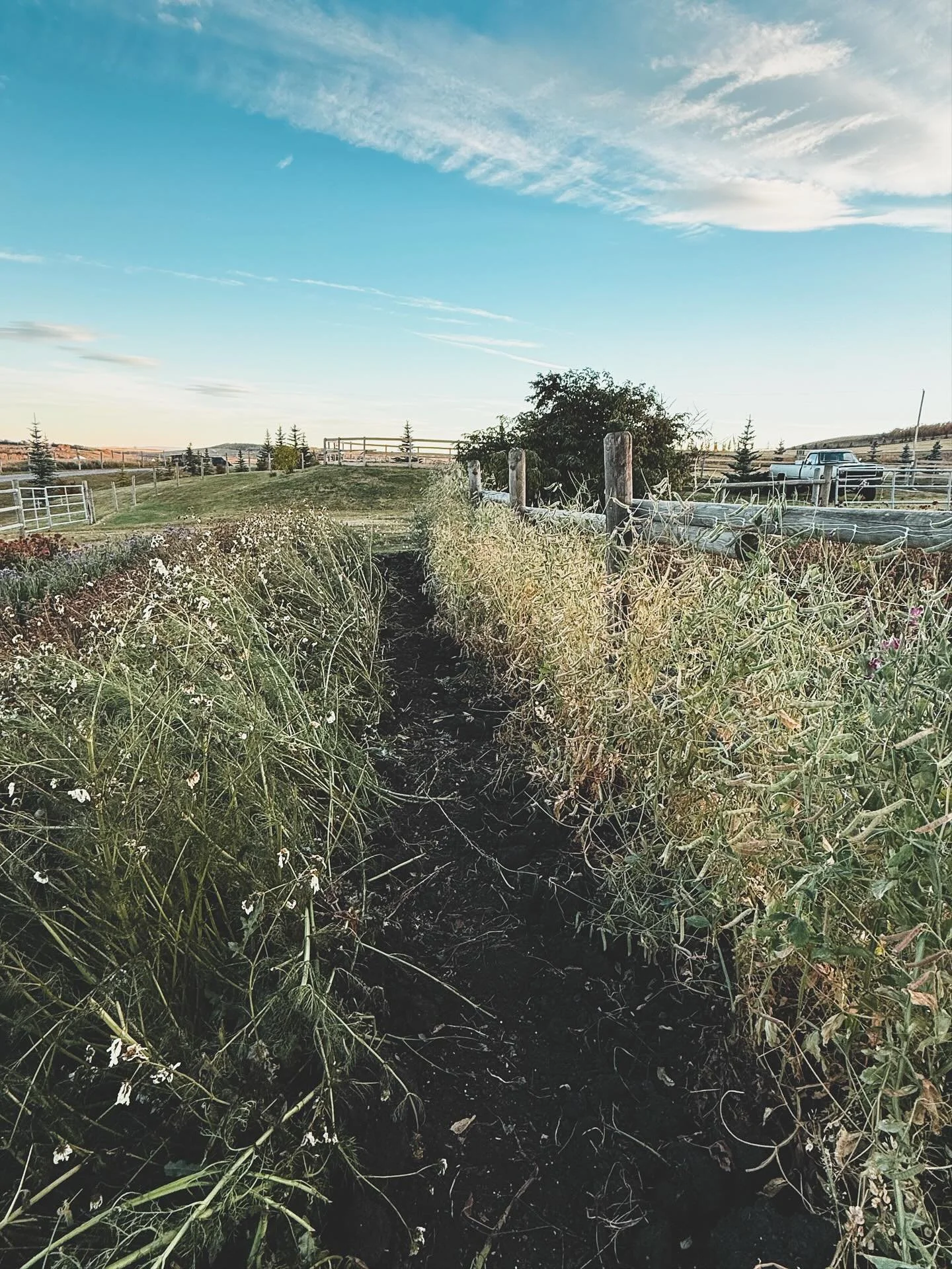 Everything is changing so quickly. The snow and hail had me worried I wouldn&rsquo;t have enough time to fully end the season in a proper manner. However, we are now back to sunny days, and mild temperatures, a much needed break from the cold to fina