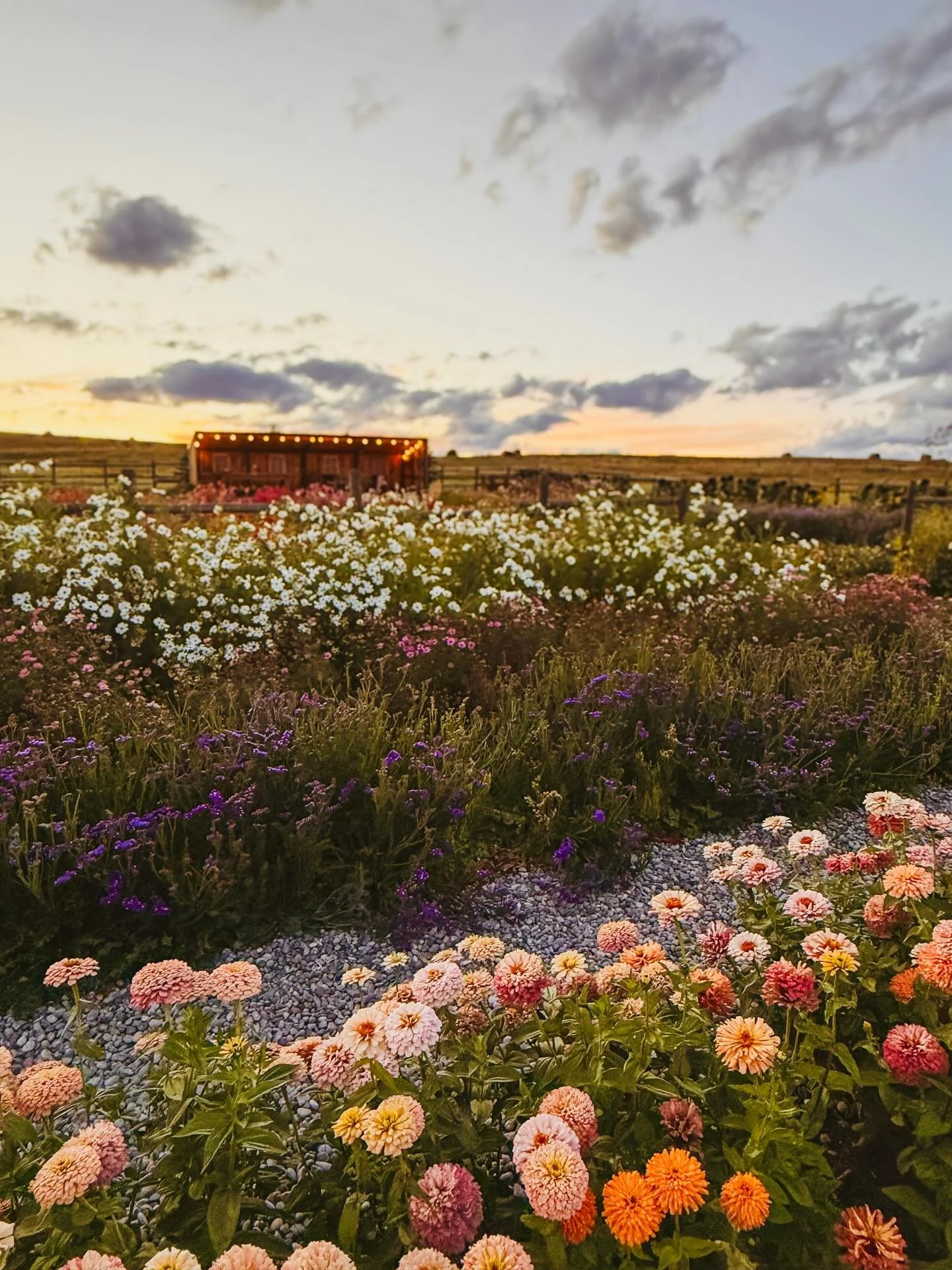 The golden month of October has already left us&hellip; a time of transition, of incredible gifts, and beauty beyond words here at the farm.

From breezy, warm afternoons to sudden northern winds that brought snow on its path. At times the weather ap