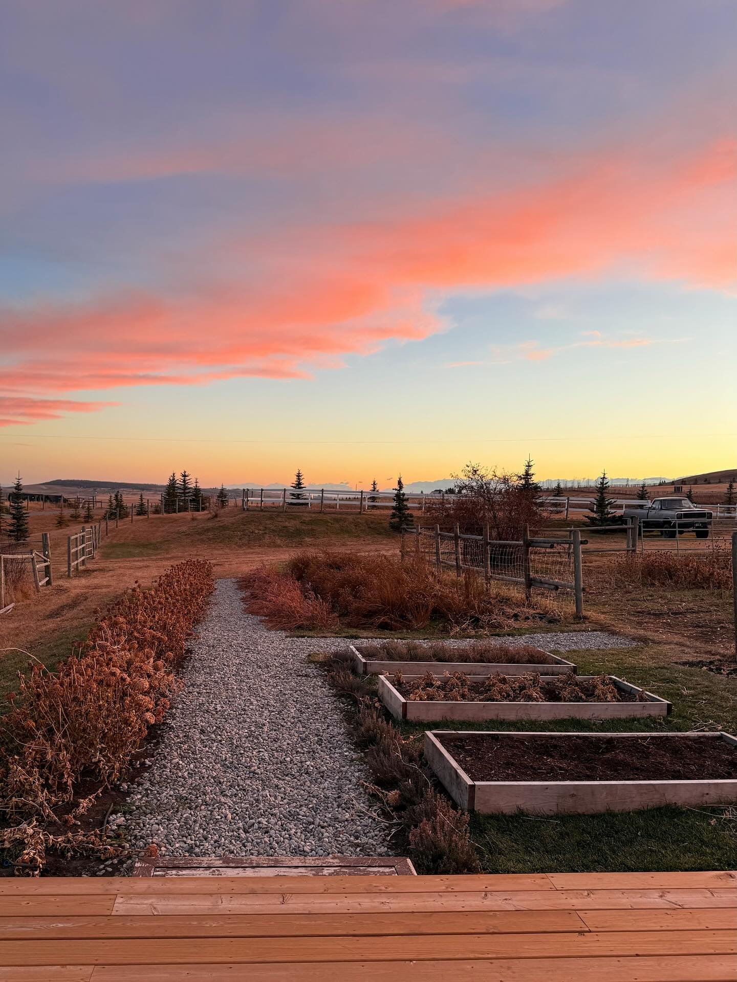 🧡November skies🧡

I do love the beauty of a snowy day, but I&rsquo;m feeling very grateful for the kind weather and breathtaking  sunsets created by the Chinook winds as of lately&hellip;

#flowerfarm