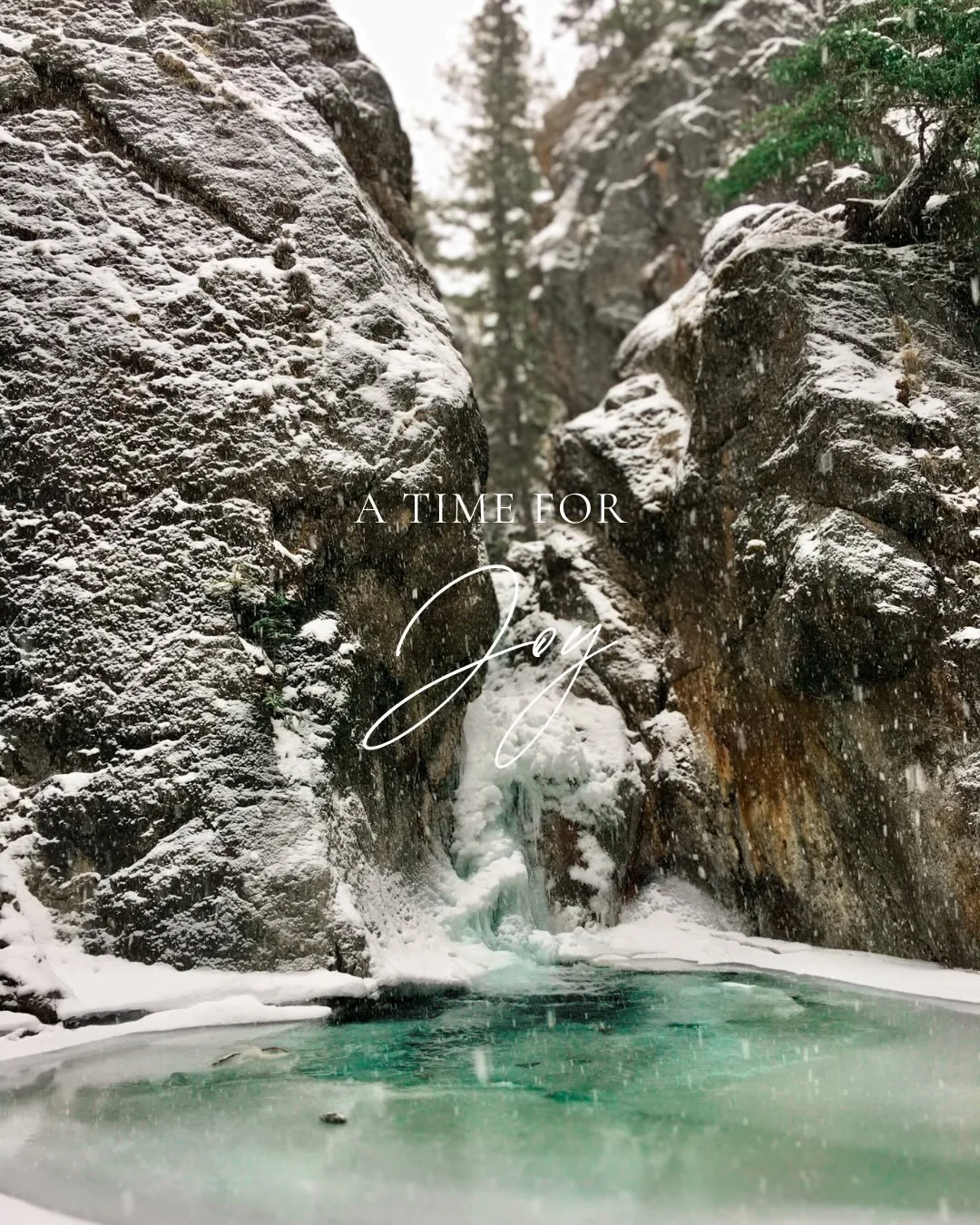 With Christmas on the horizon, let us embrace joy and peace&mdash;and allow ourselves to dream a little, too. ✨ During this beautiful and busy season, we hope you have a few precious moments to yourself, to reflect on how you intend to grow in the ne