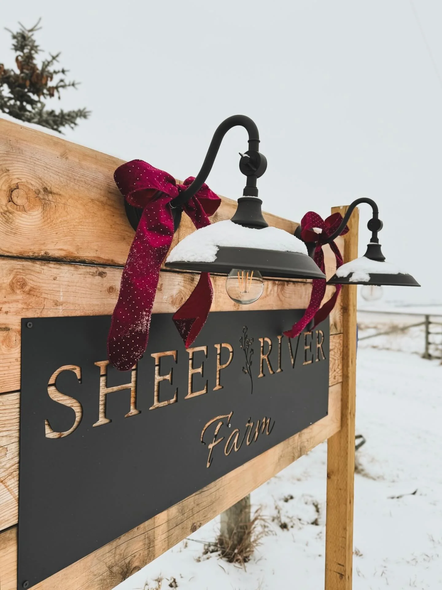 A year ago, we started this new chapter in our lives, moving into a house with great potential but needing a little work... and our first Christmas was a bit of a whirlwind with unpacking, painting and decorating. But amidst all the chaos, we were ha