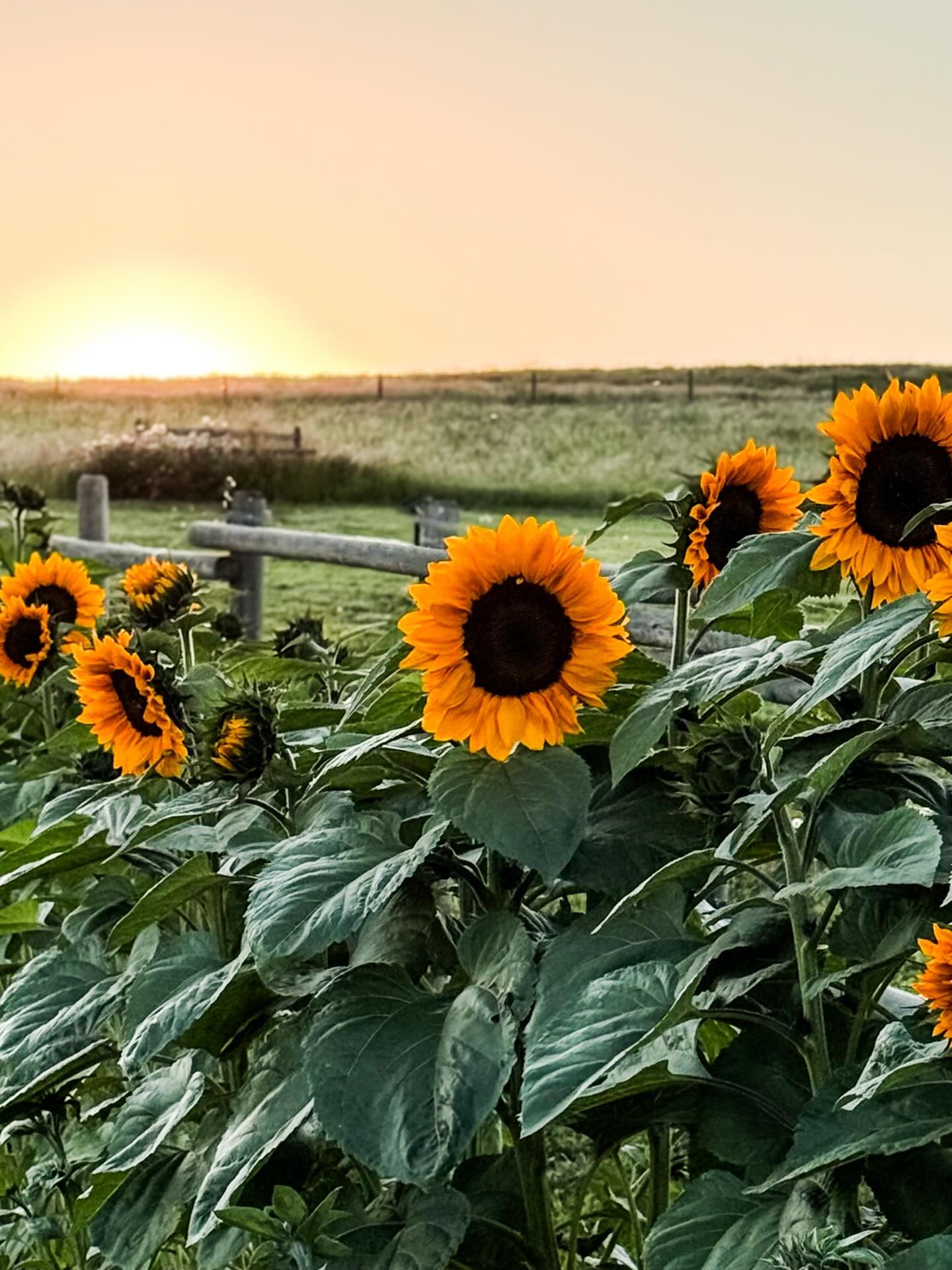 May we let go of the idea of failure and in its place find grace in what was and carry those pieces with us.

For years these simple words have kept me moving forward: &ldquo;be resilient, be accepting, have faith and find joy.&rdquo; 

The truth is,