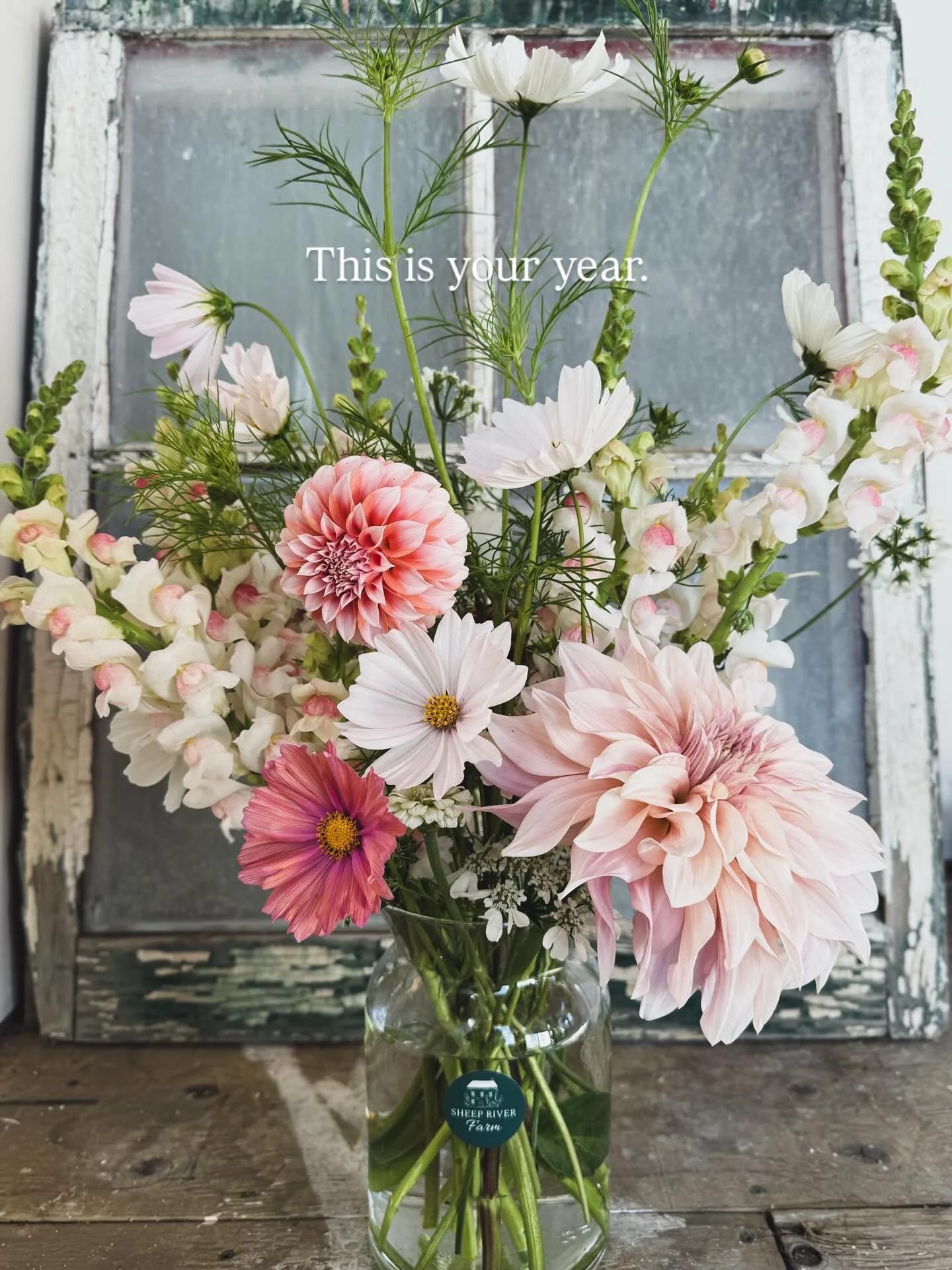 🌸 THIS IS YOUR YEAR &bull; THIS IS YOUR TIME 🌸

 🌸 TO GROW SOMETHING BEAUTIFUL 🌸

I hope you&rsquo;ll give yourself a well-deserved gift this year, to pursue something new, something you&rsquo;ve always wanted to do but believed the timing wasn&r