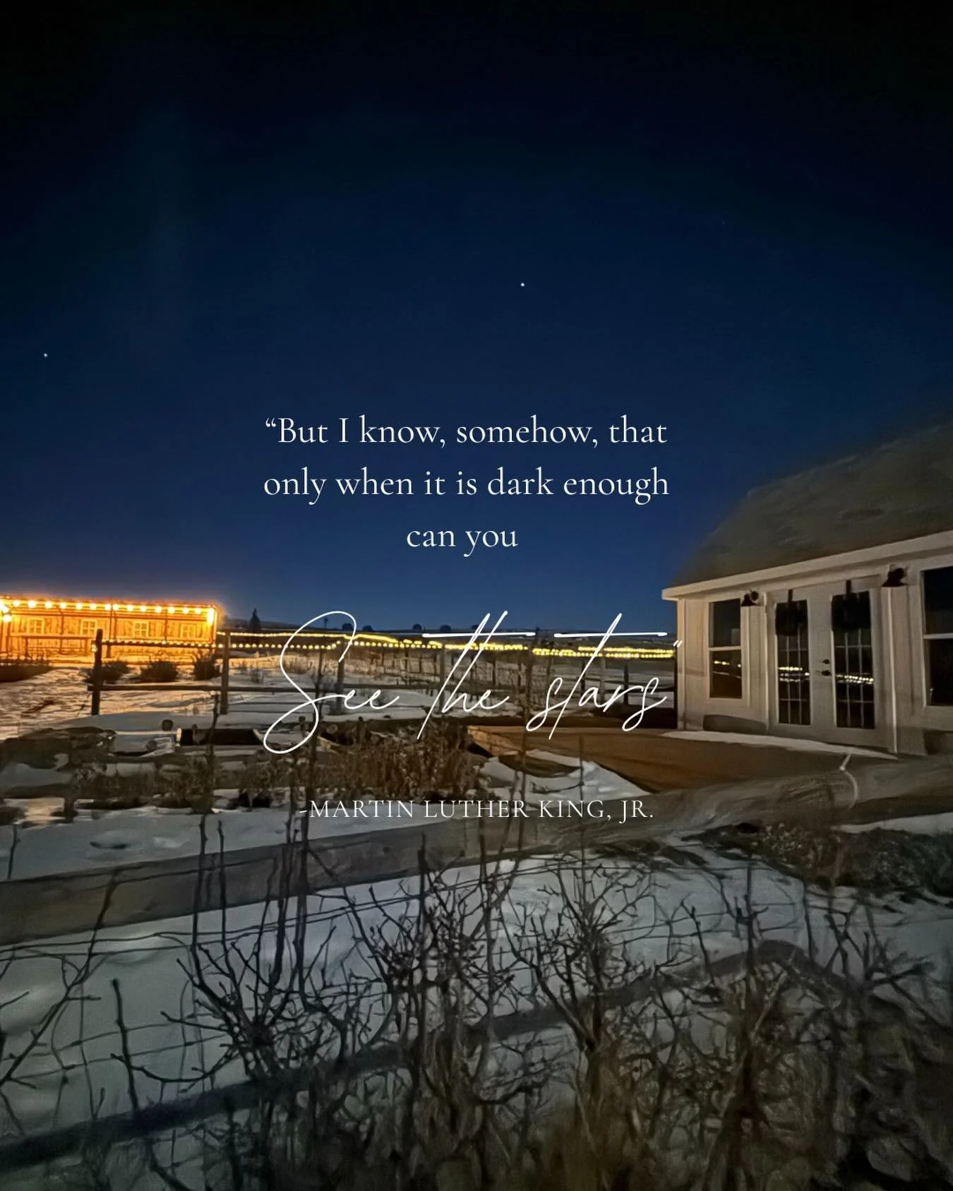 Even during the darkest days, the stars in the sky and the twinkling lights in our flower patch makes it feel beautiful and safe, full of promise and new hope.✨

As this week begins, I wish for all to both see and embody the stars &mdash; may we each