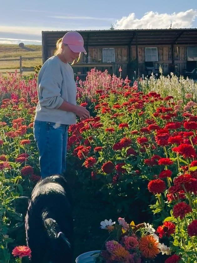 I&rsquo;ve grown vegetables for most of my life, and gardening was part of my upbringing &mdash; my grandparents created beautiful, abundant gardens every summer. 

Eventually, I expanded to growing vegetables on a larger scale, supplying produce for