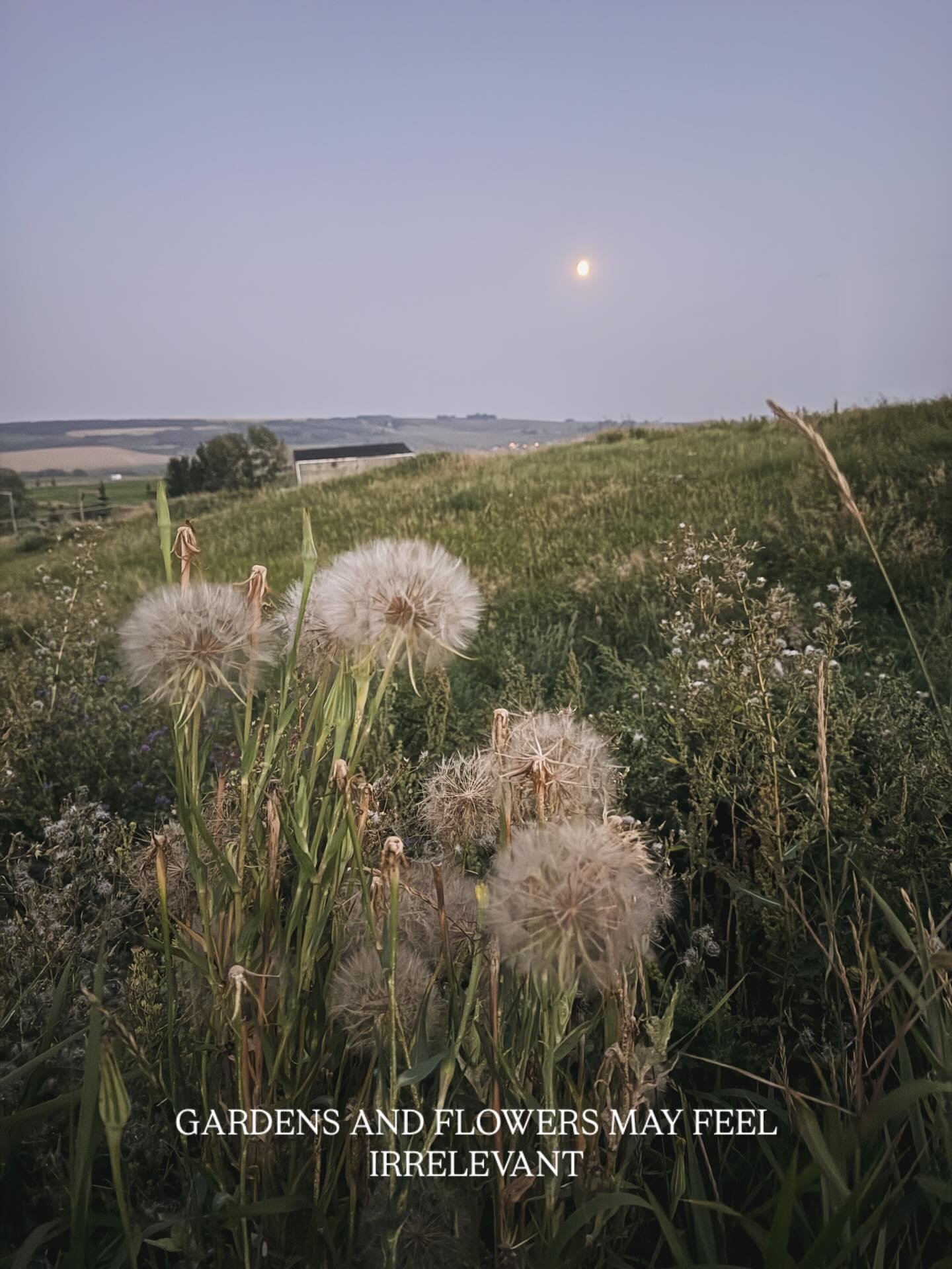 I think we&rsquo;ll always need the flowers. 🤍