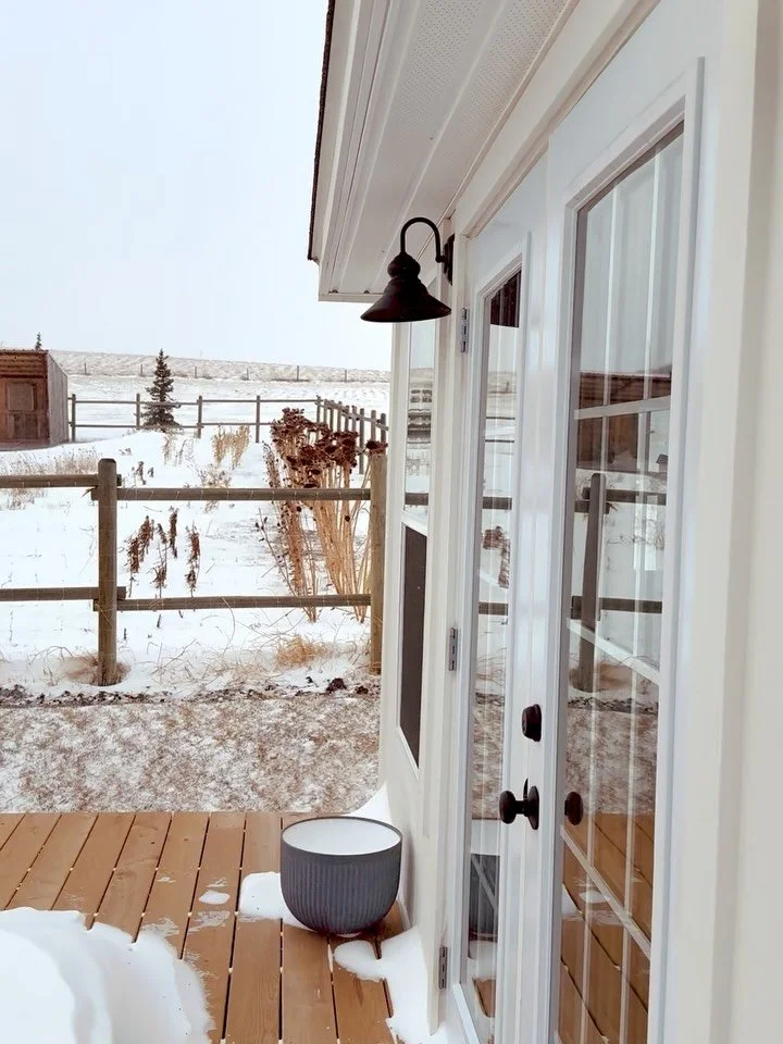 In the last weeks, it seemed as though spring had arrived ahead of schedule, but today winter is fiercely fighting back with strong and frigid northern winds and snow wildly dancing across the landscape. 

I had to pop into the garden shed for tools 