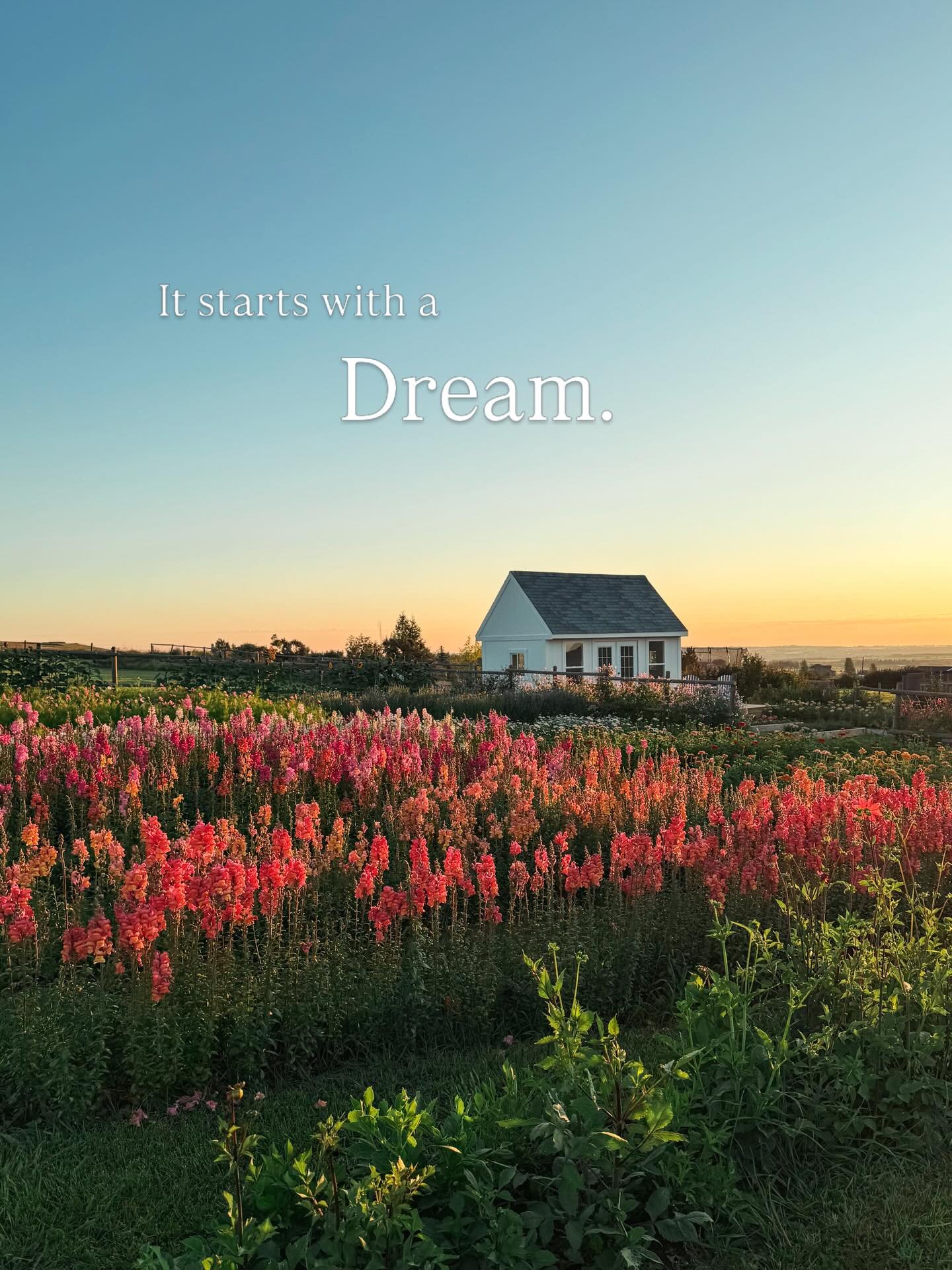 On this February day, I find myself starting seeds under grow lights with the vision of flower beds exploding with stunning blooms by summer, and I realize that this floral journey has evolved into a fulfilling pursuit that continues to exceed my gre