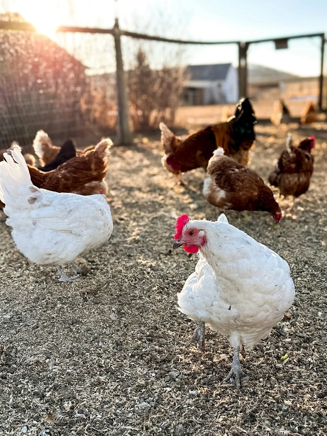 &ldquo;&lsquo;Is the spring coming?&rsquo; he said. &lsquo;What is it like?&rsquo;

&lsquo;It is the sun shining on the rain and the rain falling on the sunshine, and things pushing up and working under the earth.&rsquo;&rdquo; &mdash; Frances Hodgso