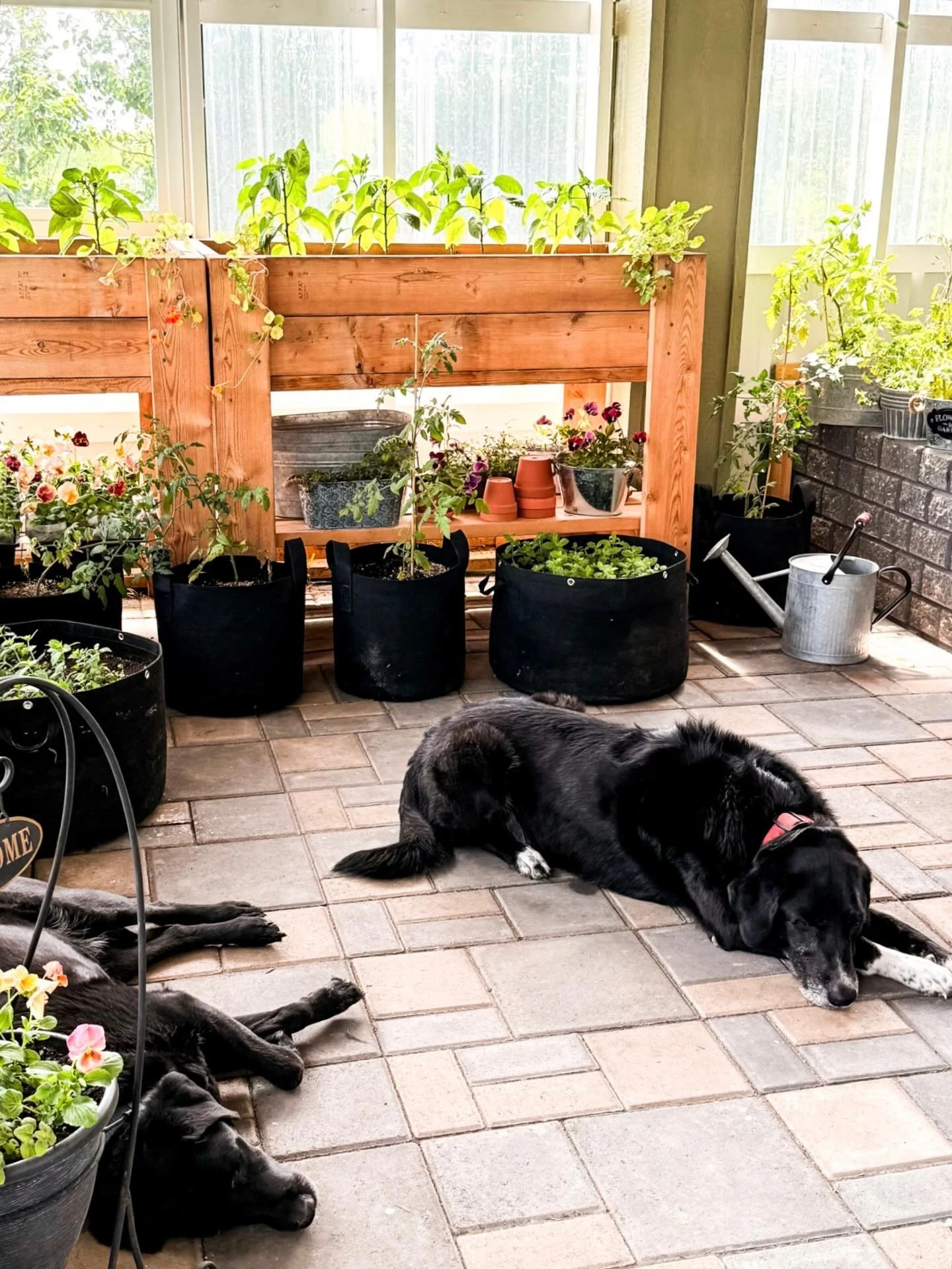 We&rsquo;re beginning to feel some warmth outdoors, the snow has melted and I must say I&rsquo;m very excited about the upcoming growing season.

In April, I like to focus my attention on our unheated greenhouse, getting it clean and ready for the ne