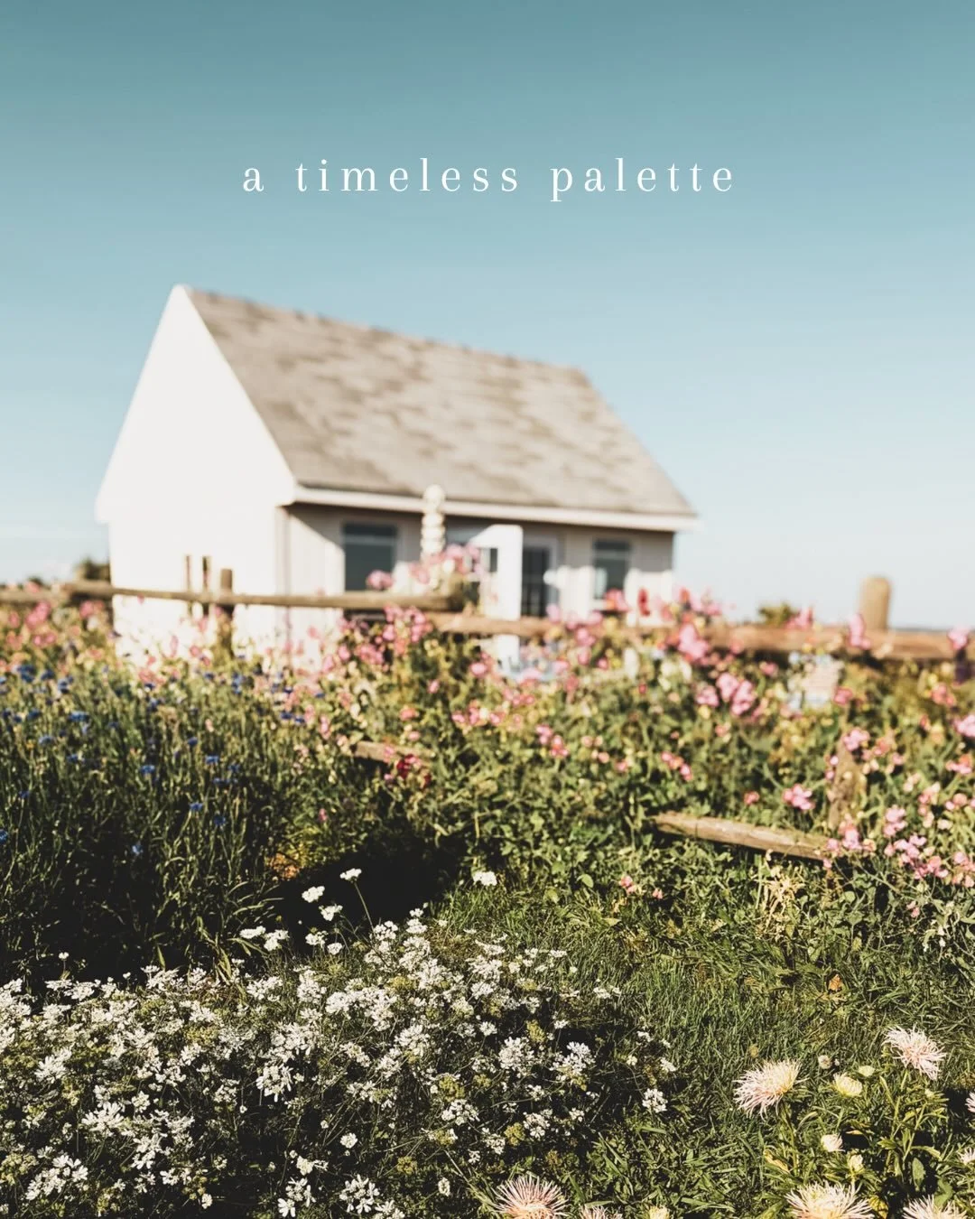 Have you been dreaming about your special day? 

What would it look like? 

Would it have a timeless vibe enhanced by delicate blooms in graceful shades of muted rose, tender blush and vintage white?

Would it be elegant, and perhaps a little rustic 