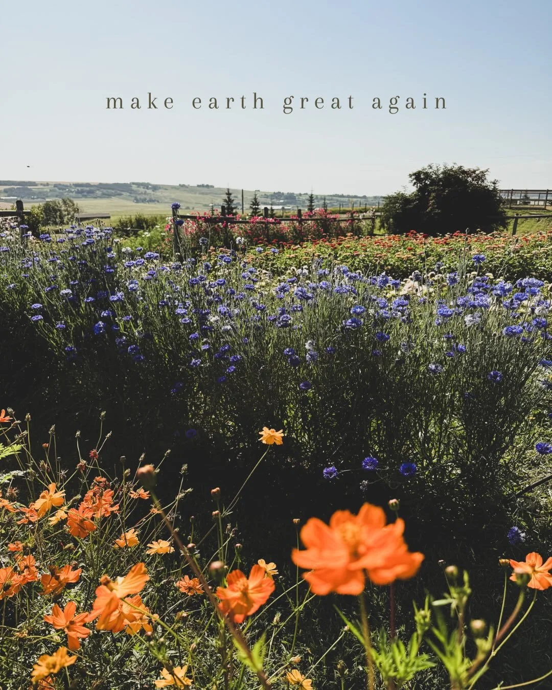 Make Earth Great Again 🌎💙

That&rsquo;s what our focus should be on, as we all share the same and only home.

Since the dawn of existence, Earth has consistently supplied humanity with fundamental resources: clean air, pure water, and the wholesome