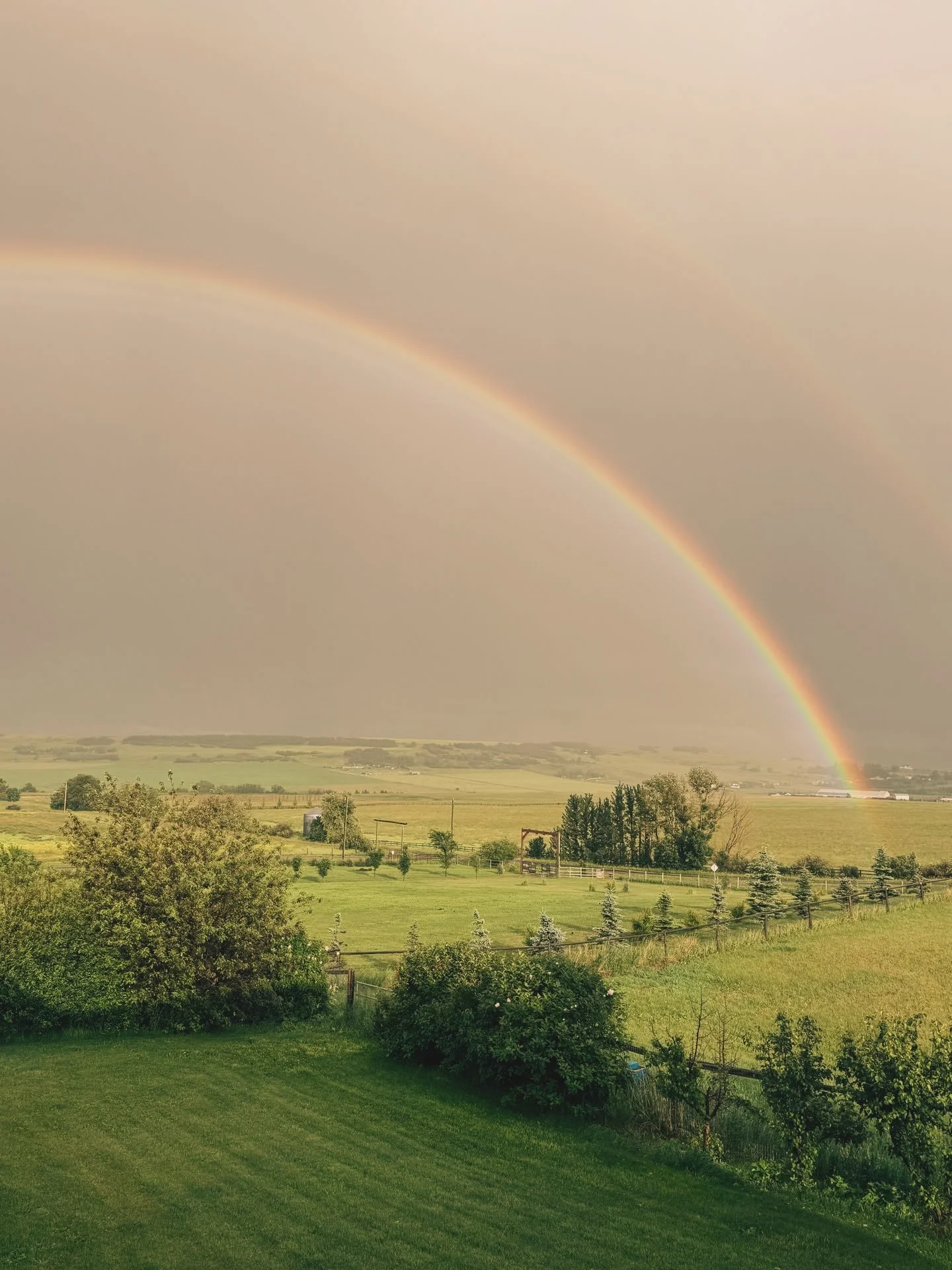 July 5th has brought us a myriad of moods like a wild love-hate relationship; from warm, sweet sunshine, to stone-cold clouds sweeping in, releasing heavy hail to the ground. 

After the storm, a few snapdragons were left without a head and the broad