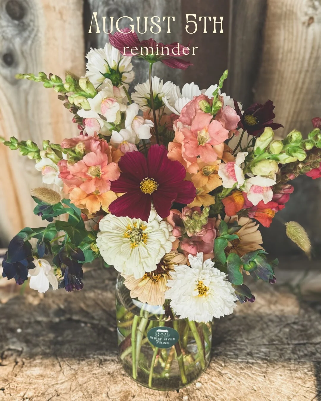 To our flower subscribers, just a quick reminder that your first bouquet of the season will be ready for pick up on Wednesday, August 5th, right here at the farm, from 3pm to 6pm. 

Here&rsquo;s a little glimpse of the flowers in bloom this week! 🌸
