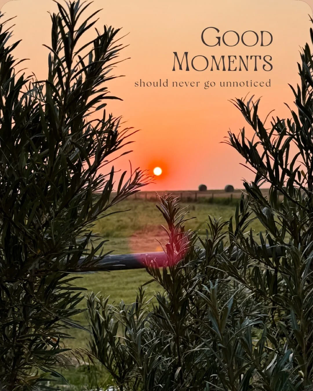 Summer always unfolds much too quickly. But lately, I&rsquo;ve been stealing little moments here and there, to simply unwind and enjoy my surroundings before these beautiful warm days are gone&hellip; 

#taketimeforyourself #enjoylife #growflowers #c