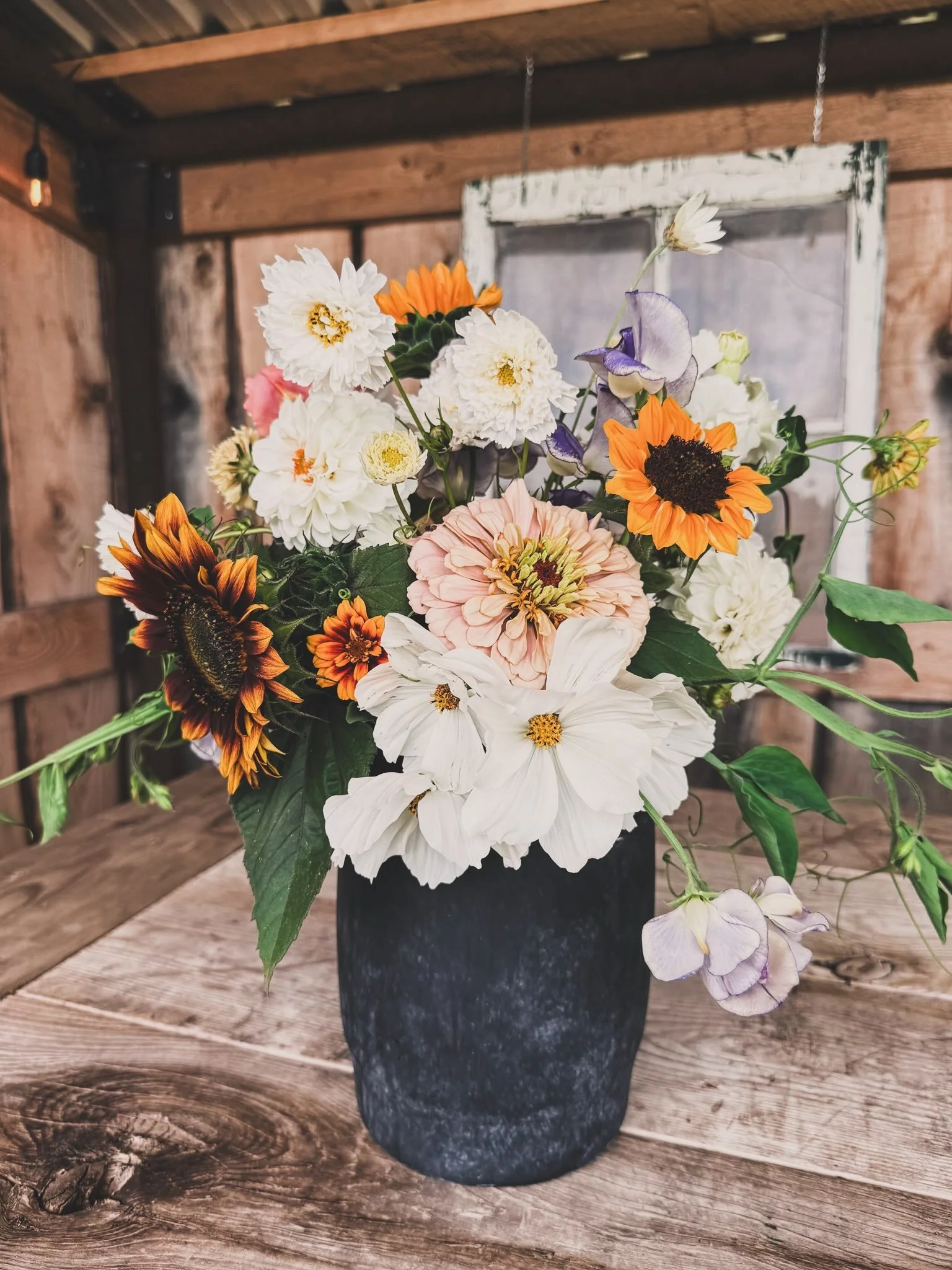 Sturdy and vibrant, the towering sunflower rises in the field, always reaching towards the sun. They  are beginning to bloom in our gardens, and I can&rsquo;t think of a flower with a sunnier presence&mdash;or one more widely seen in that way.

Sunfl