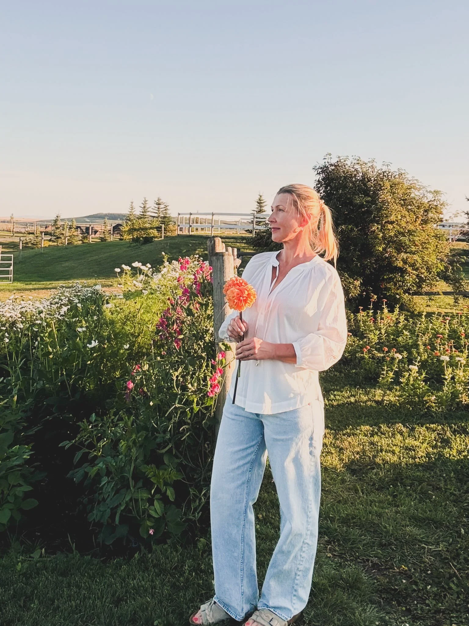 I cannot tell you how grateful I am for this past week. It began with exceptionally cold weather and the threat of an early frost but somehow we got lucky and pulled through without any damage. 

I was pleased to find a few more dahlias in bloom and 