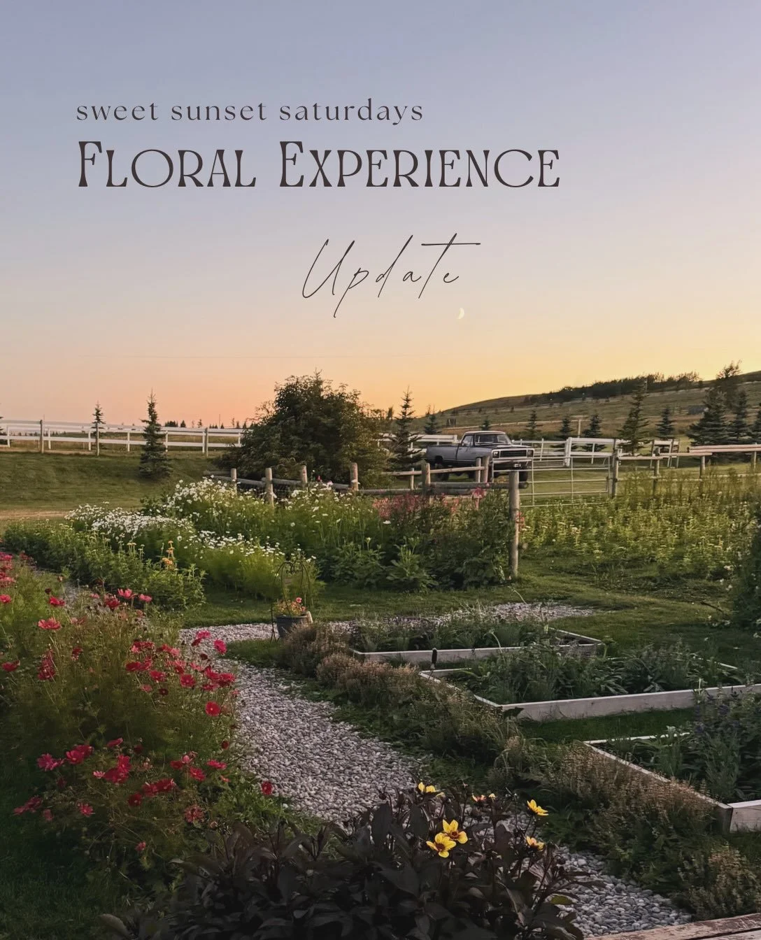 Due to unpleasant weather forecasted on September 26th, we have made the decision to reschedule the Sweet Sunset Saturday Floral Experience to Friday, September 25th, from 5pm to 7pm.

We apologize for the inconvenience and hope you&rsquo;ll be able 