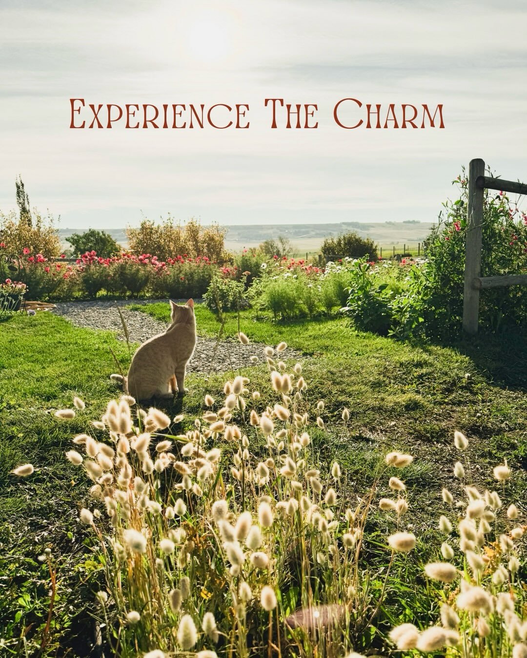 Every now and then, we all need a moment to pause and reset. We believe a few quiet hours in our idyllic flower gardens can leave you feeling relaxed and refreshed. 

Join us on September 25th, from 5pm to 7pm for the last hands-on floral experience 