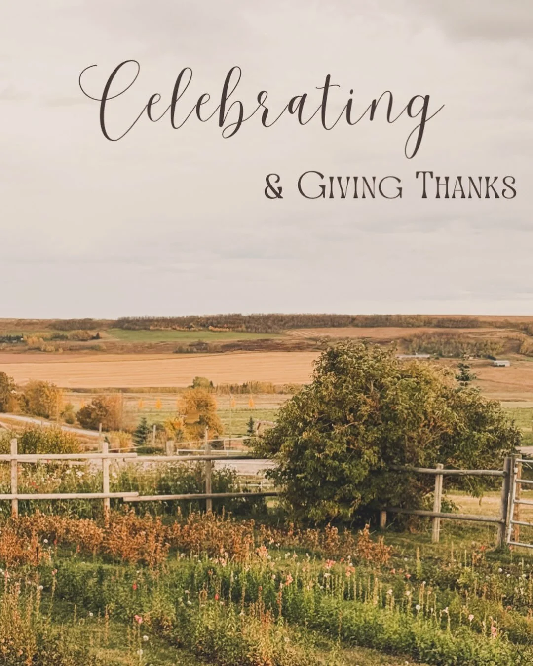As another meaningful growing season comes to a close on this snowy Thanksgiving weekend, I&rsquo;m truly filled with gratitude, carrying all the beautiful memories of these past months in my heart.

There is a lot to celebrate. I am deeply proud of 