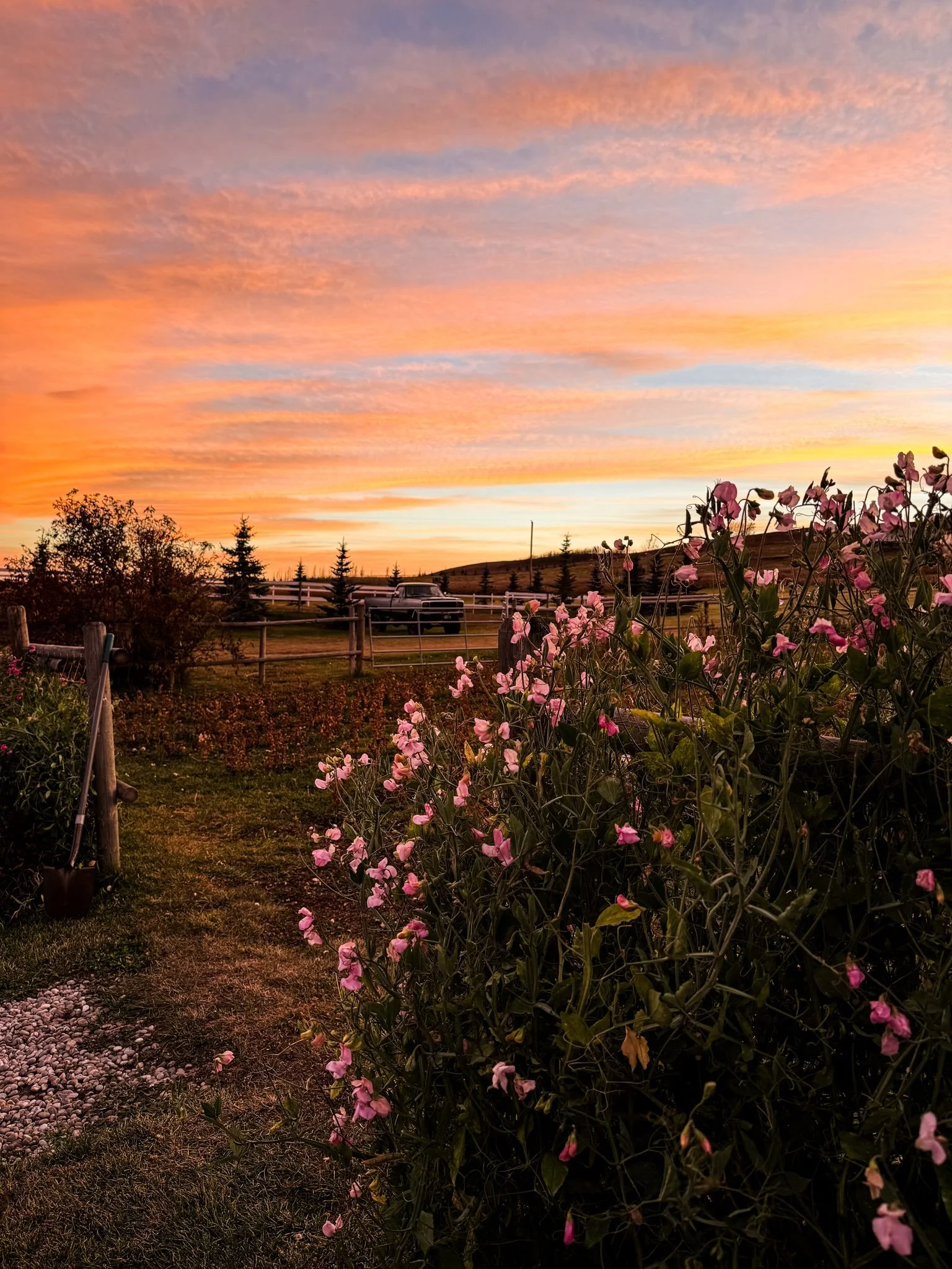 Last evening I was in awe by the vivid colours that swept with intensity across the sky, only to vanish moments later. Witnessing such achingly beautiful heavens and a landscape drenched in gold feels like a privilege when the world&rsquo;s light is 