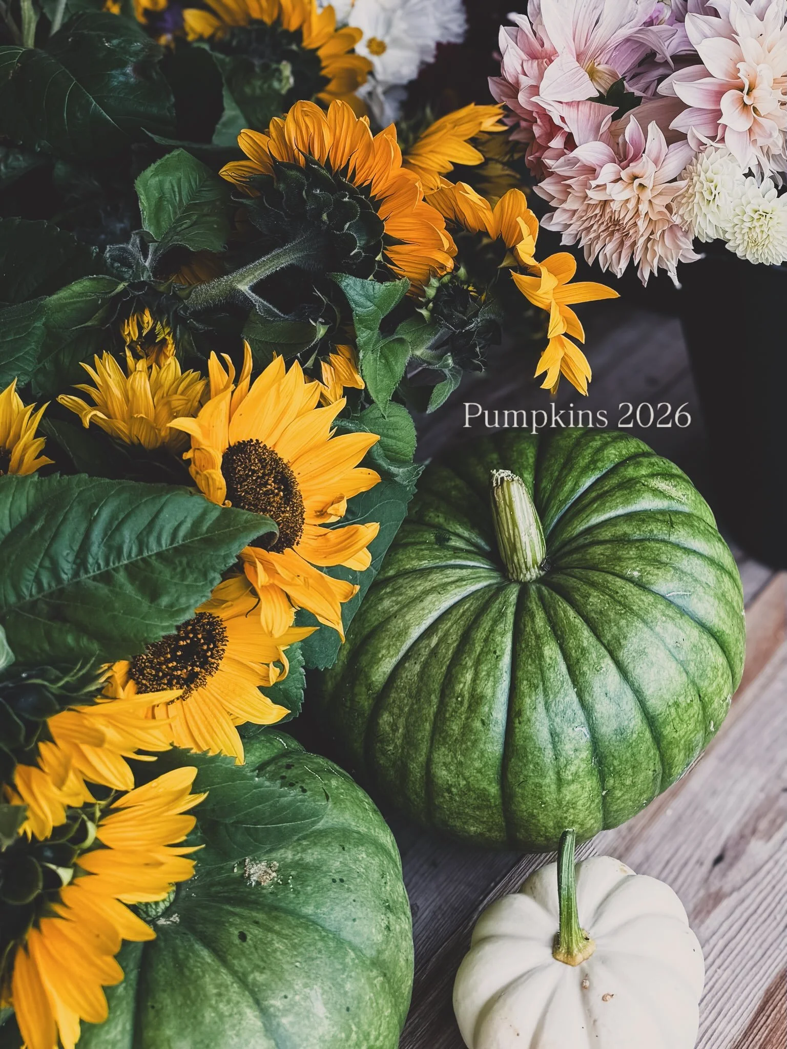 Witches and brooms, bats and spiders&hellip; and of course jack-o&rsquo;-lanterns are what make Halloween a spooky and fun tradition. Other than dressing up for Halloween, my favourite part was carving pumpkins and about 5 years ago, my interest in g