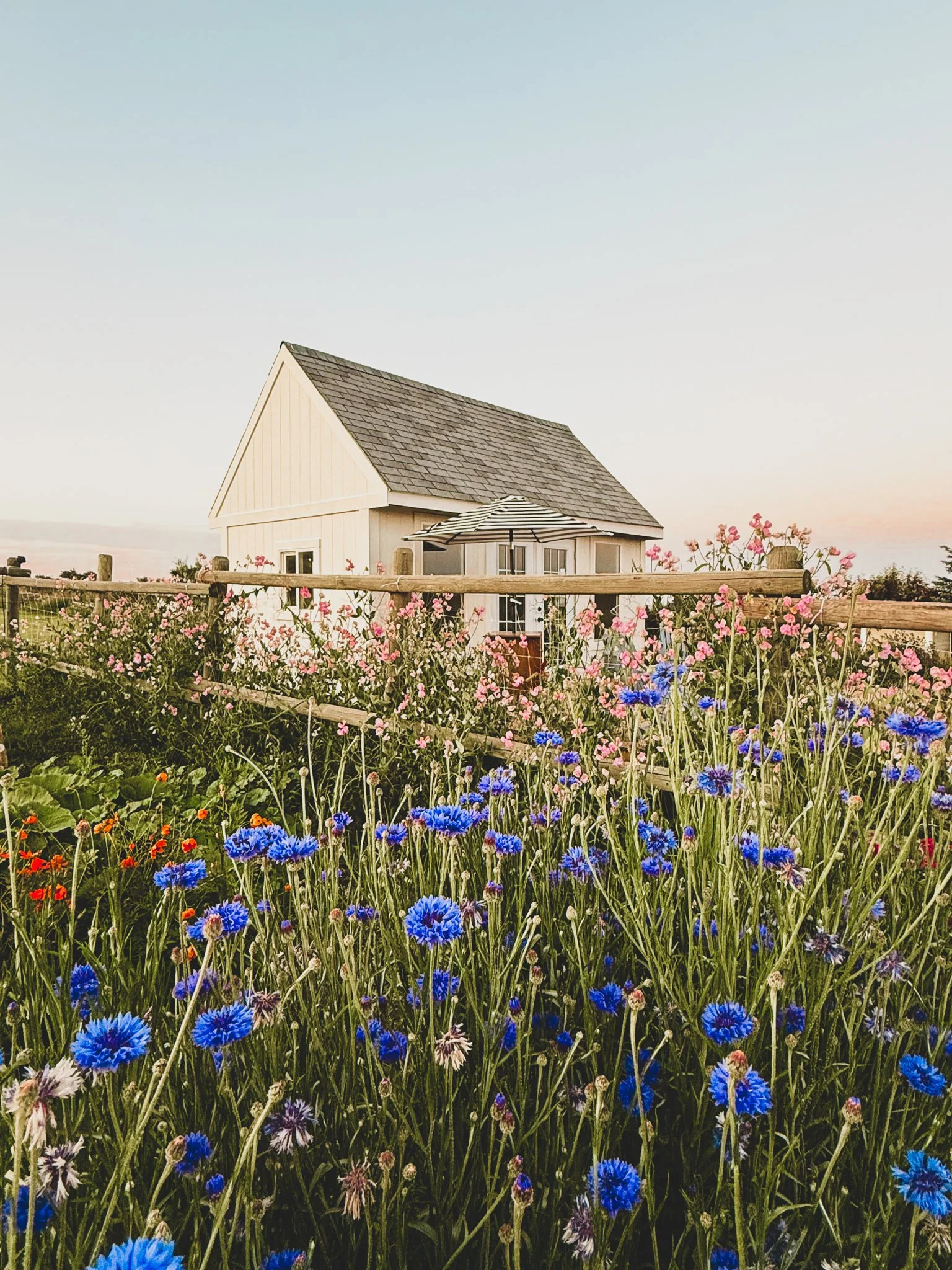 Rise & Shine Bloomin' Saturdays Floral Experience