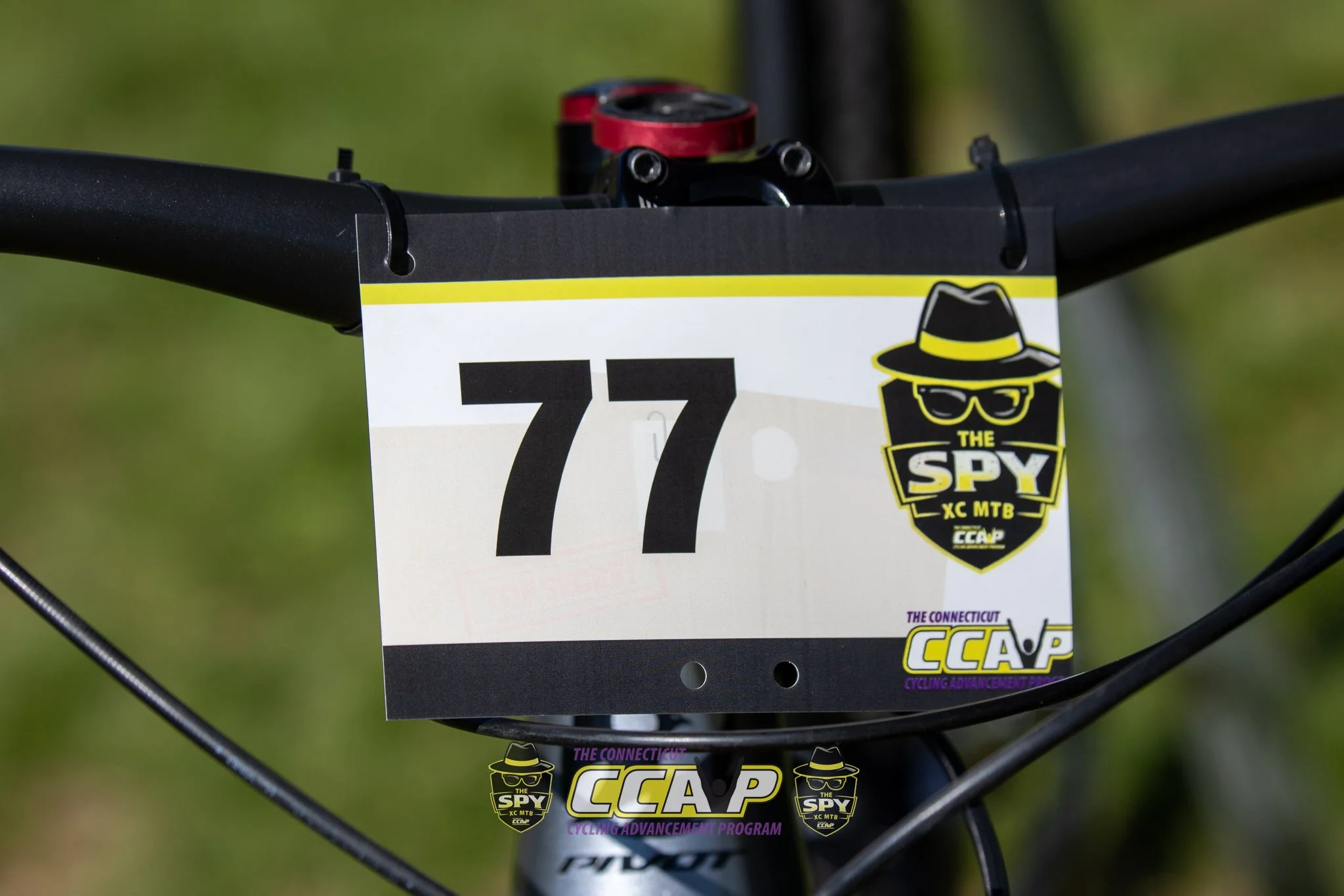 2026-05-16 SPY-266.jpg