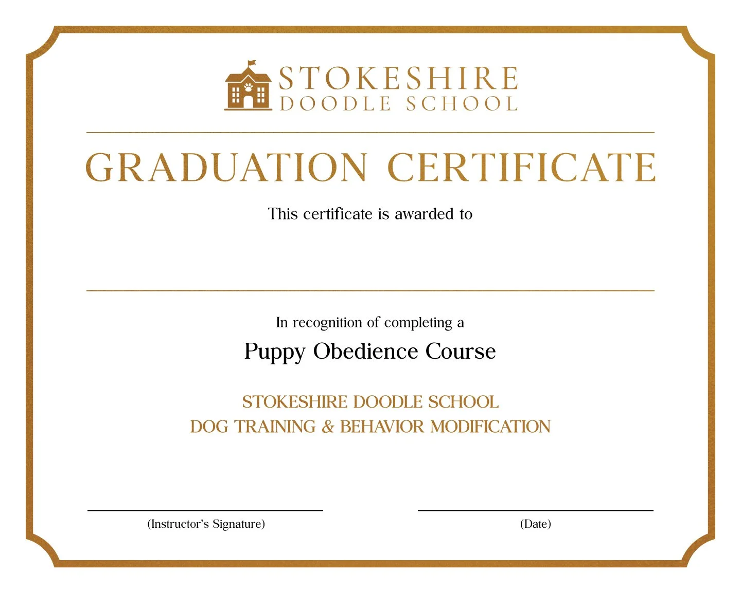 Stokeshire-Doodle-School-Graduation-Certificate.jpeg