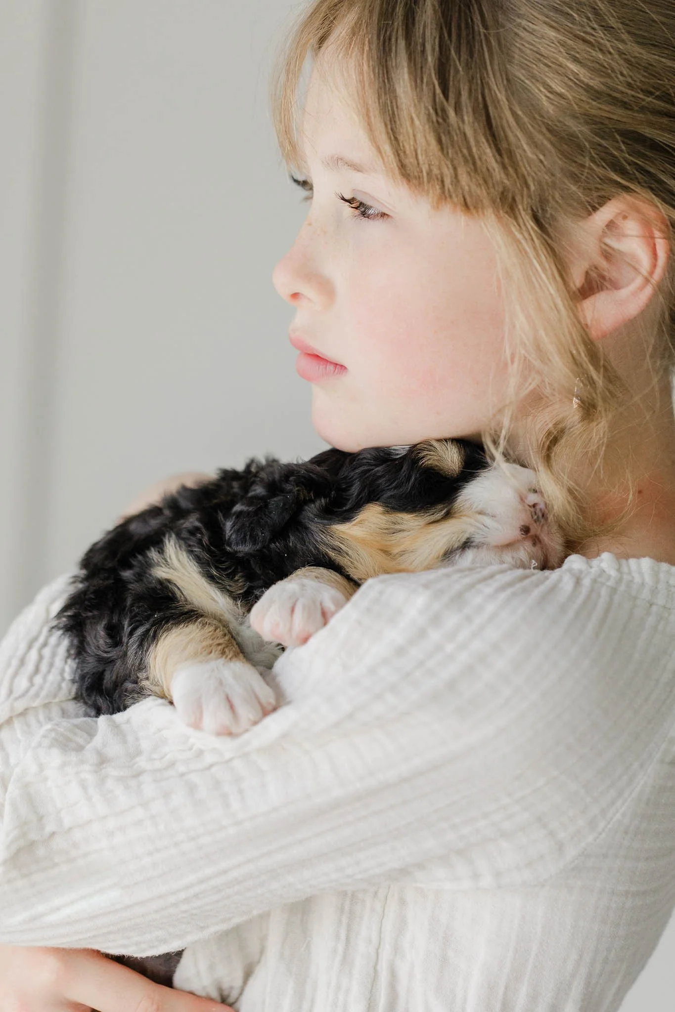 Stokeshire doodles demonstrating developmental training outcomes