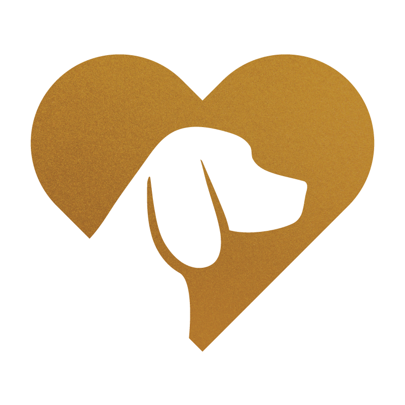 Finding Comfort: The Unspoken Heroes in Mental Health - A Complete Guide to Comfort Dogs