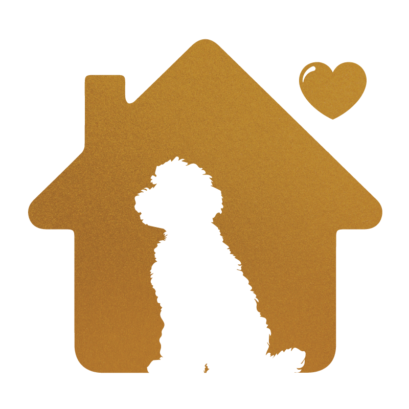 A Fresh Start: How a Dog Can Help a Family Heal