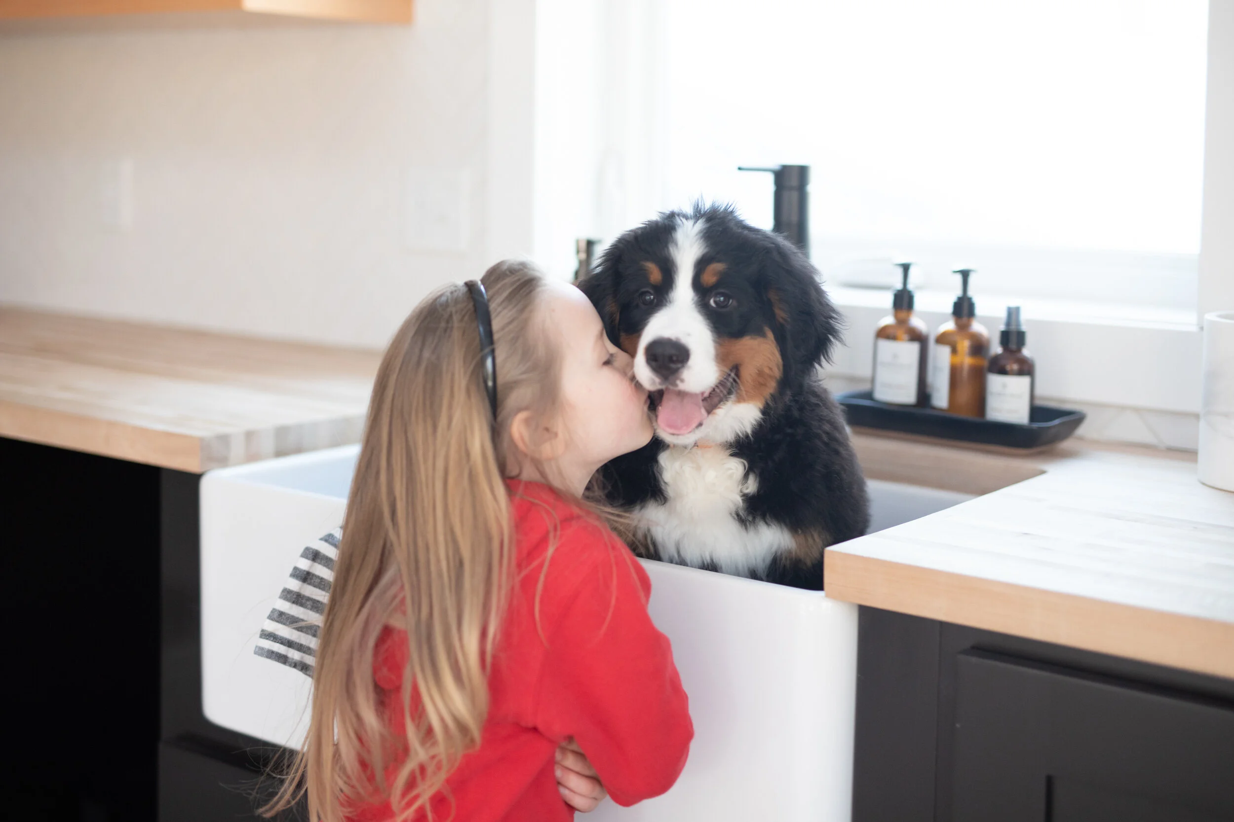 Therapy Dogs: What They are and How They Help