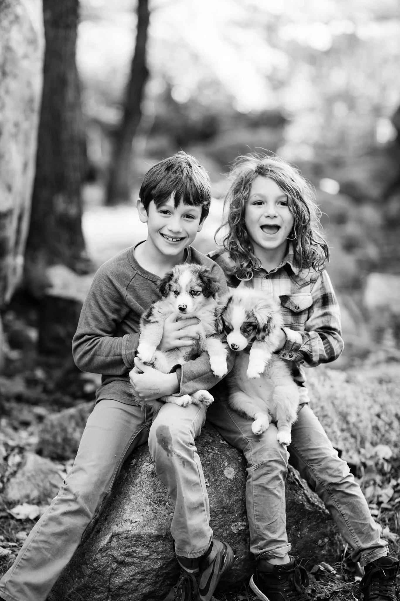492-STOKESHIRE-DOODLES-FALL.Proof.20-2.jpg