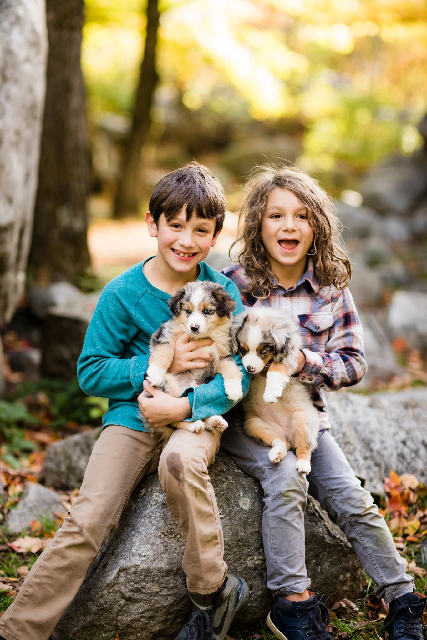 492-STOKESHIRE-DOODLES-FALL.Proof.20.jpg