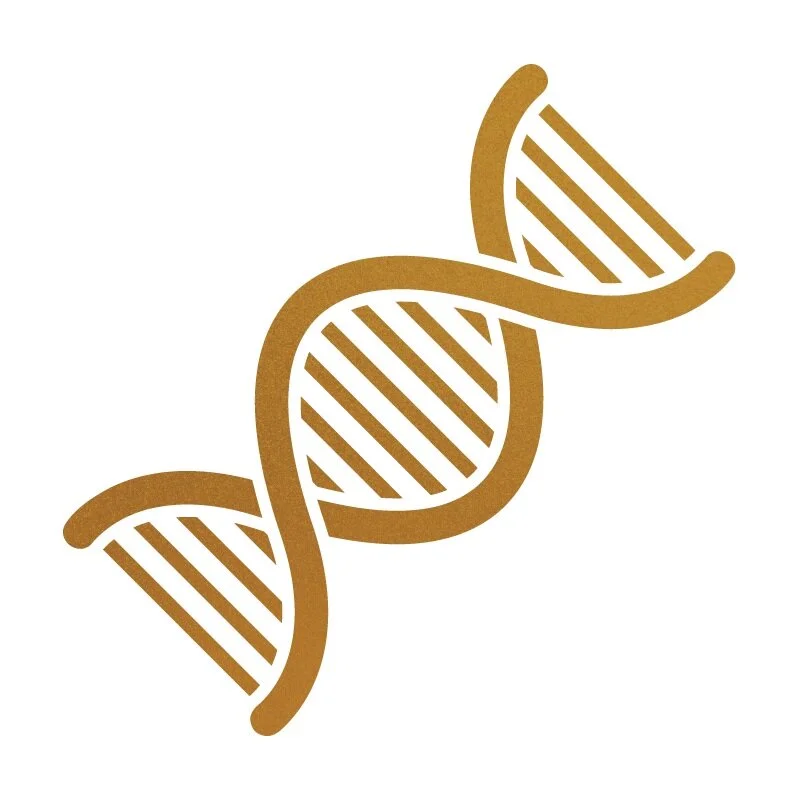 Finding the Right Doodle: Low-Shedding Breeds for Allergy-Prone Families