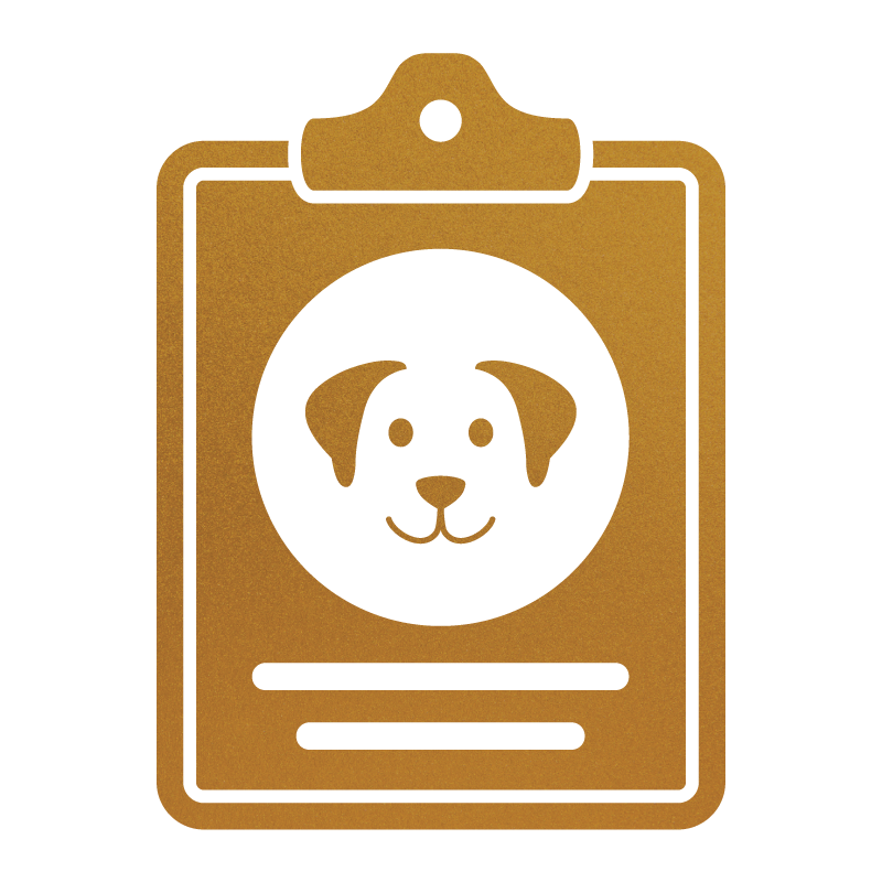 Inside Stokeshire’s Curriculum: The Socialization Period (Days 28-34) for Developing Confident Puppies