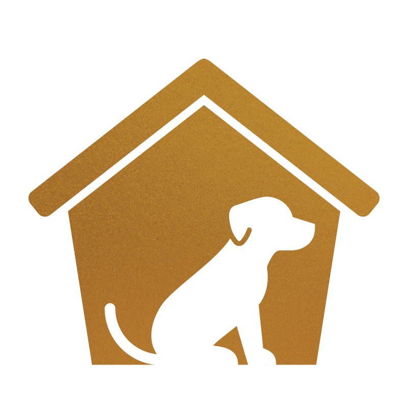 Teach Your Pup to Sit for Attention