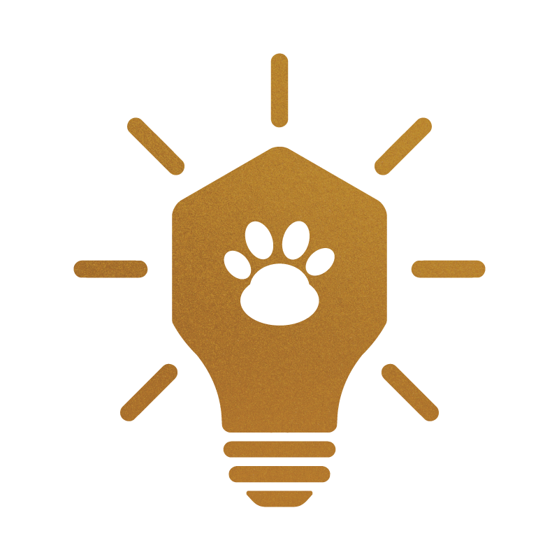 The Art and Science of Puppy Enrichment at Stokeshire Designer Doodles