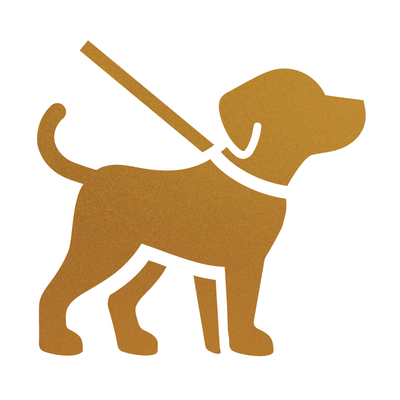 Creating a Stylish Lifestyle for You and Your Designer Doodle
