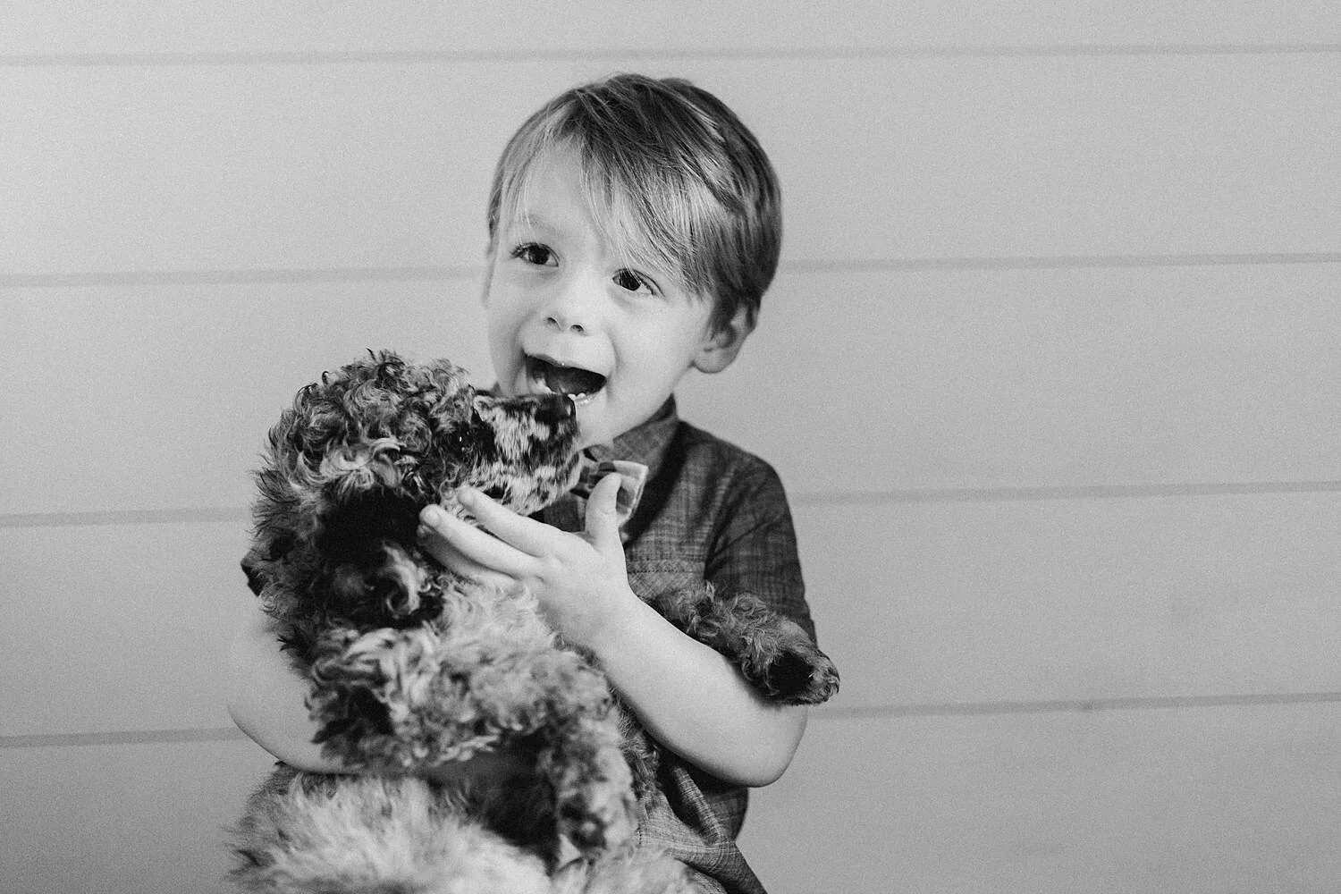 Hypoallergenic Dogs: The Perfect Companions for CASA and Guardian Ad Litem Volunteers