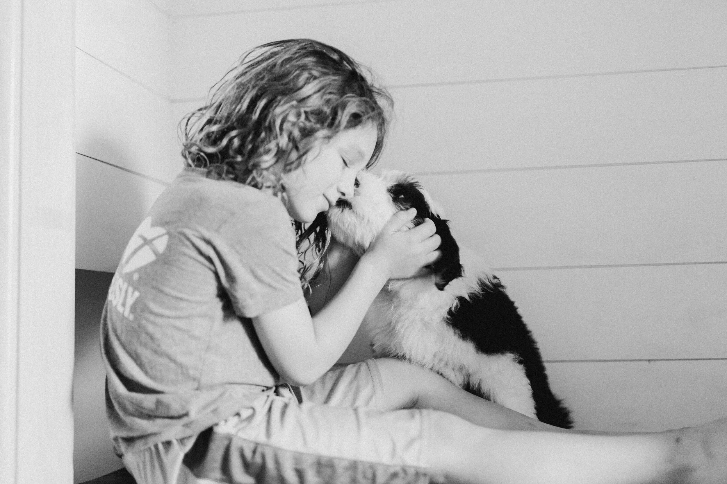 National Therapy Animal Day 