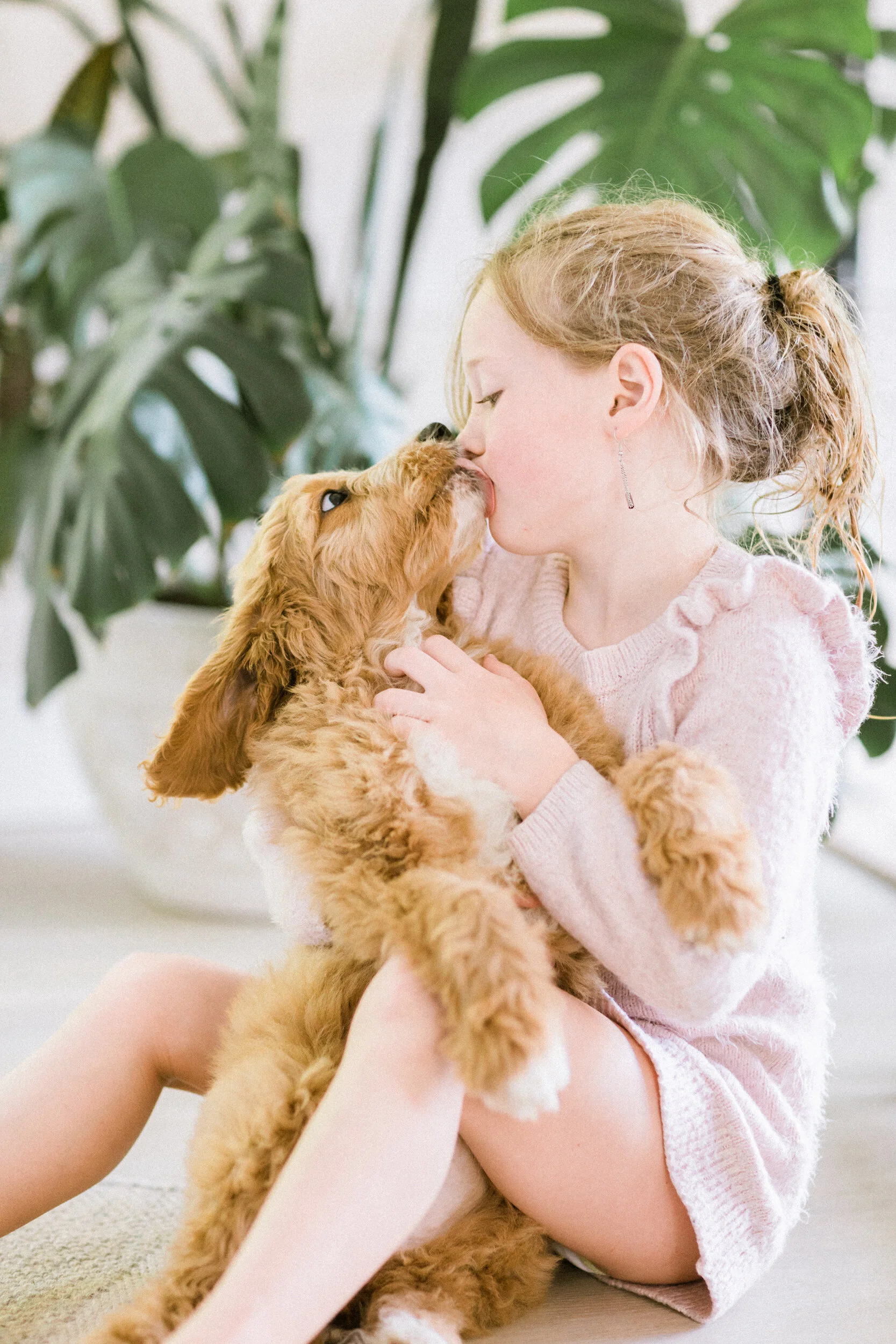 6 Tips for Selecting the Right Pet Insurance for Your Doodle Puppy 