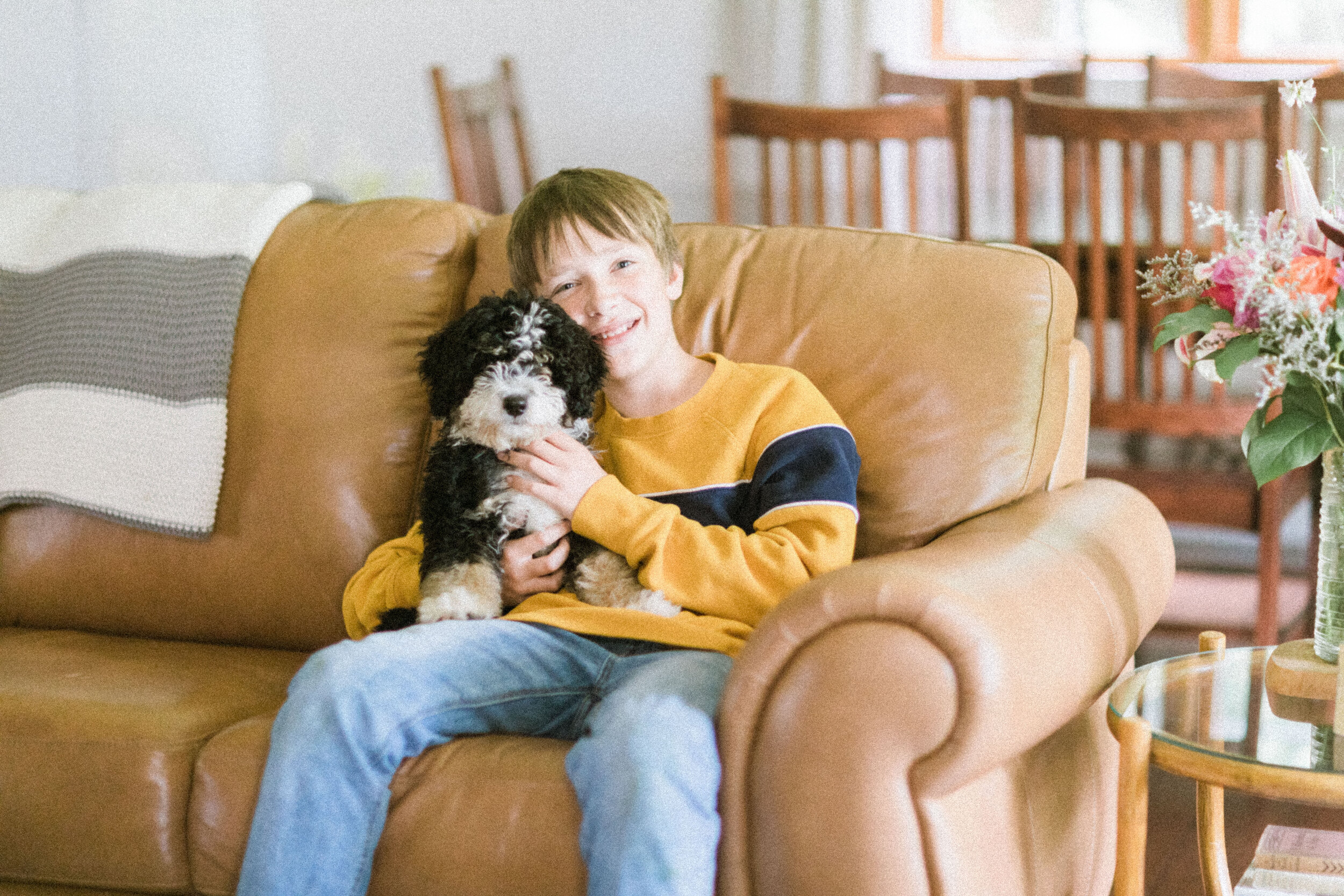 Stokeshire Guardian Home Doodles Puppy Breeders