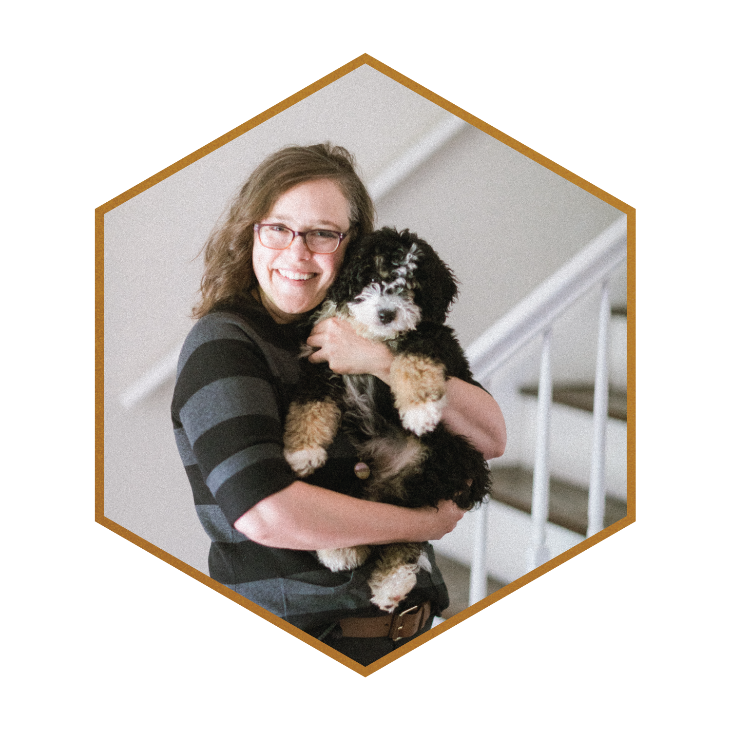 Emma-Movi-STOKESHIRE-DESIGNER-DOODLES-MINI-BERNEDOODLES-WISCONSIN02.png