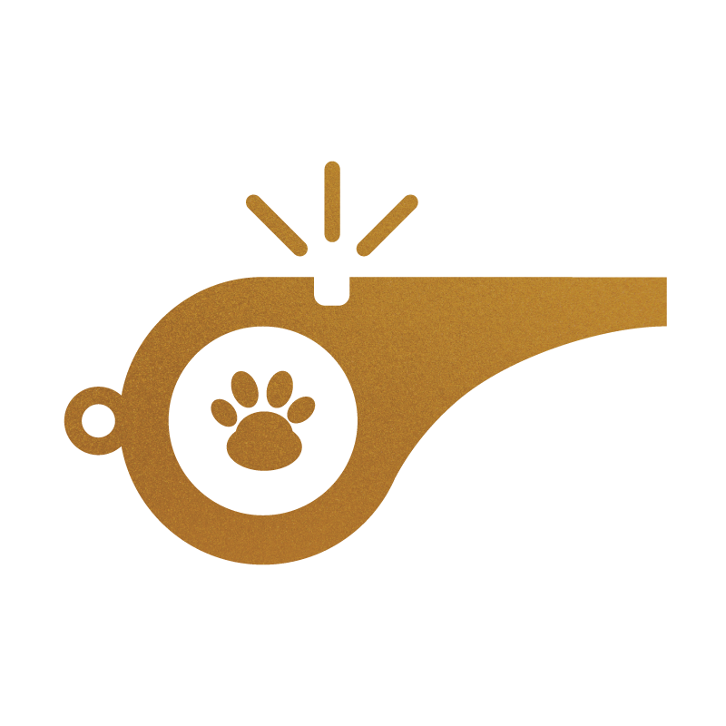 How to Train Doodle Puppies to Stop Nipping and Biting 